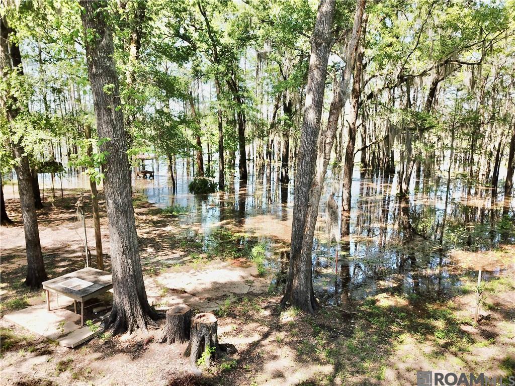 155 Wagon Wheel Road, Campti, Louisiana image 12