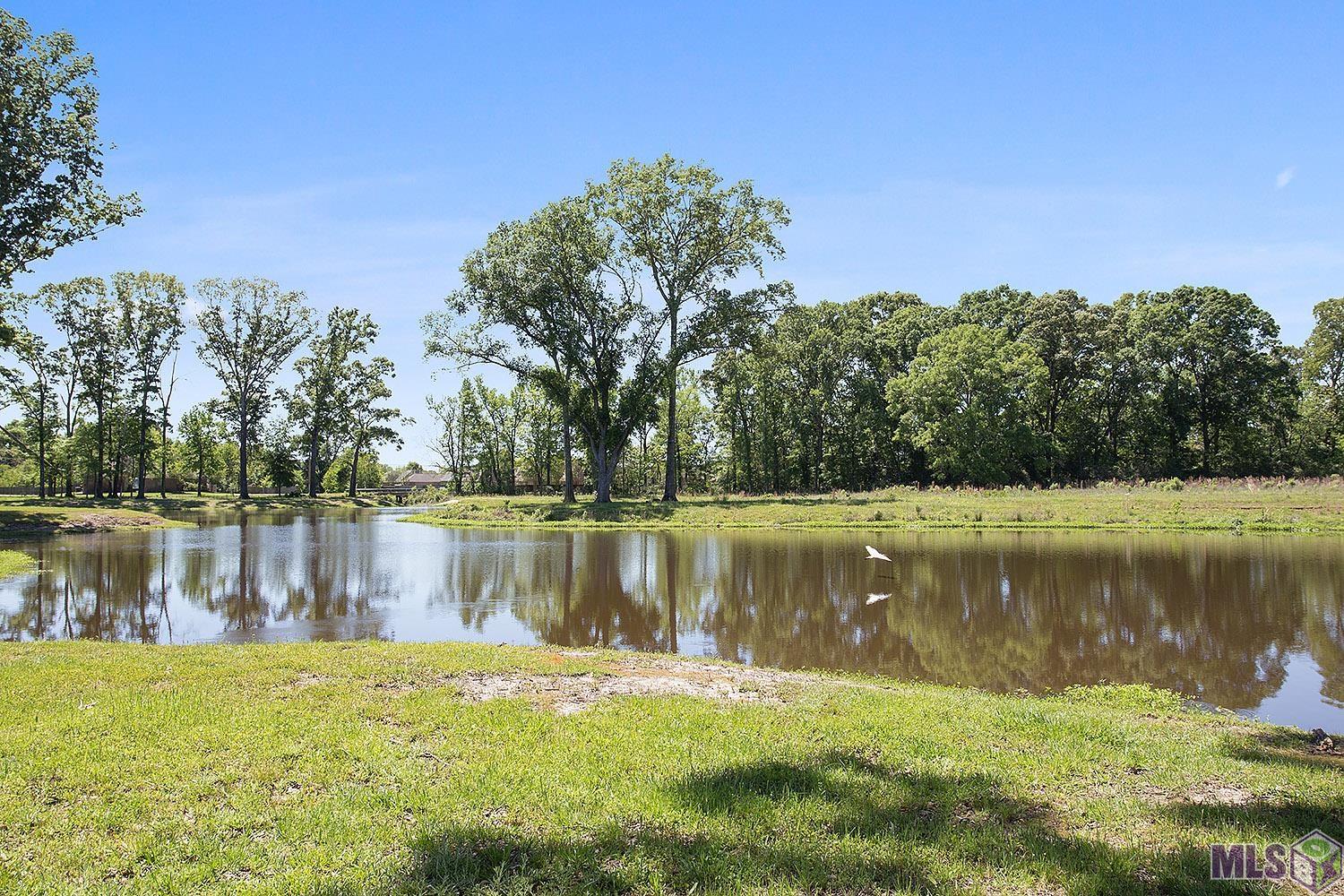 6995 Rue Papillon, Zachary, Louisiana image 44