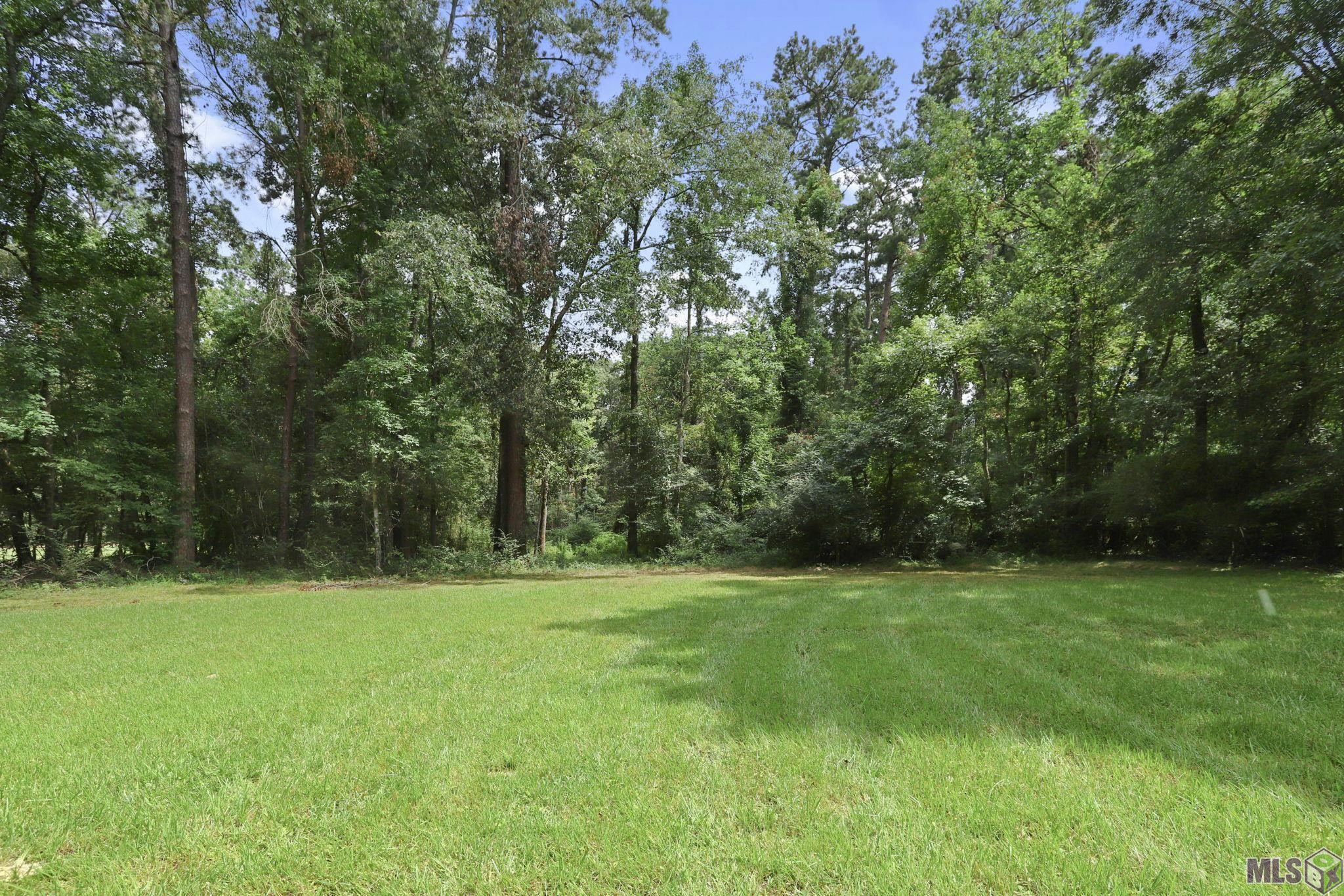 8920 Lemon Rd, Slaughter, Louisiana image 19