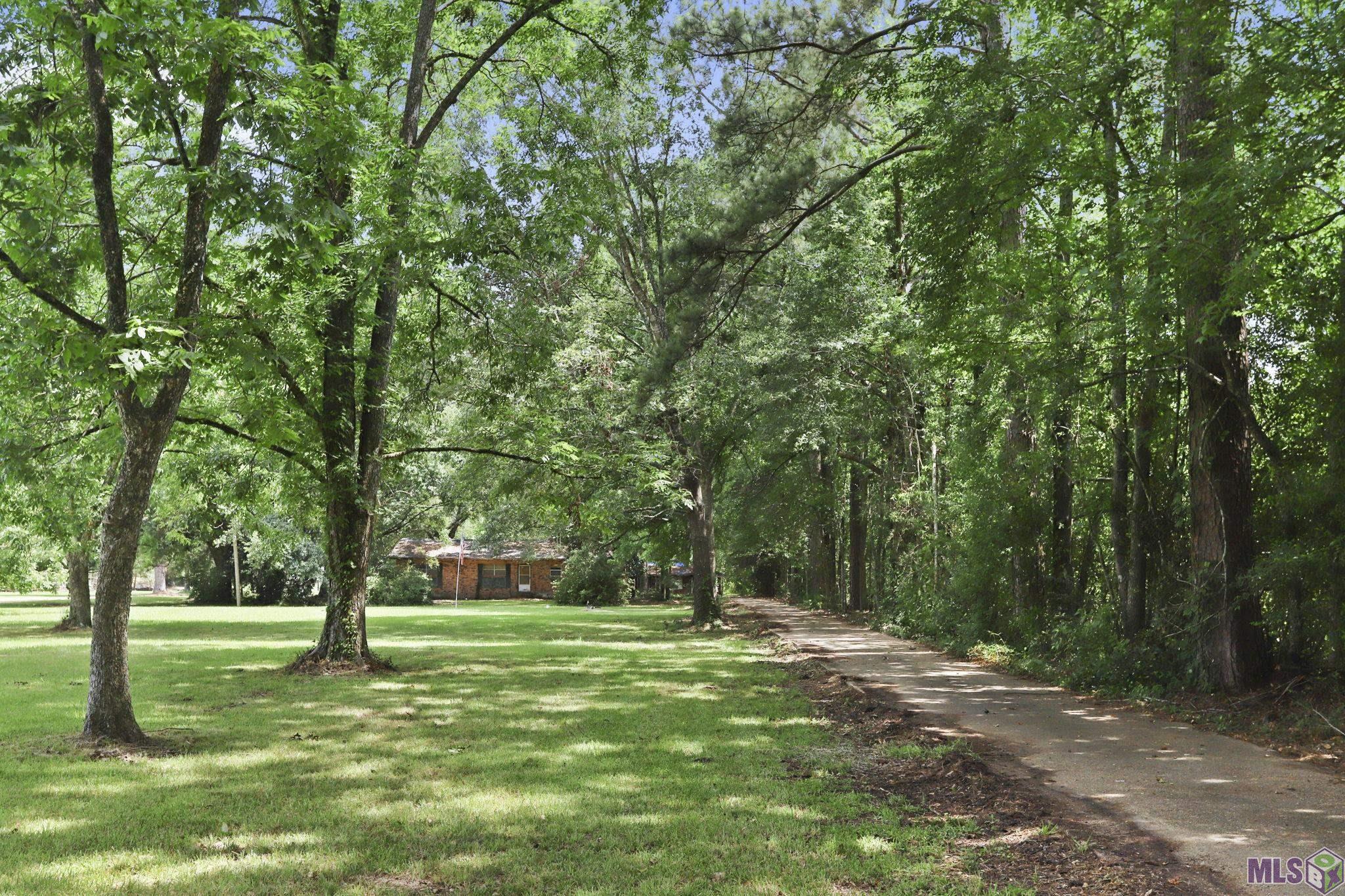 8920 Lemon Rd, Slaughter, Louisiana image 3