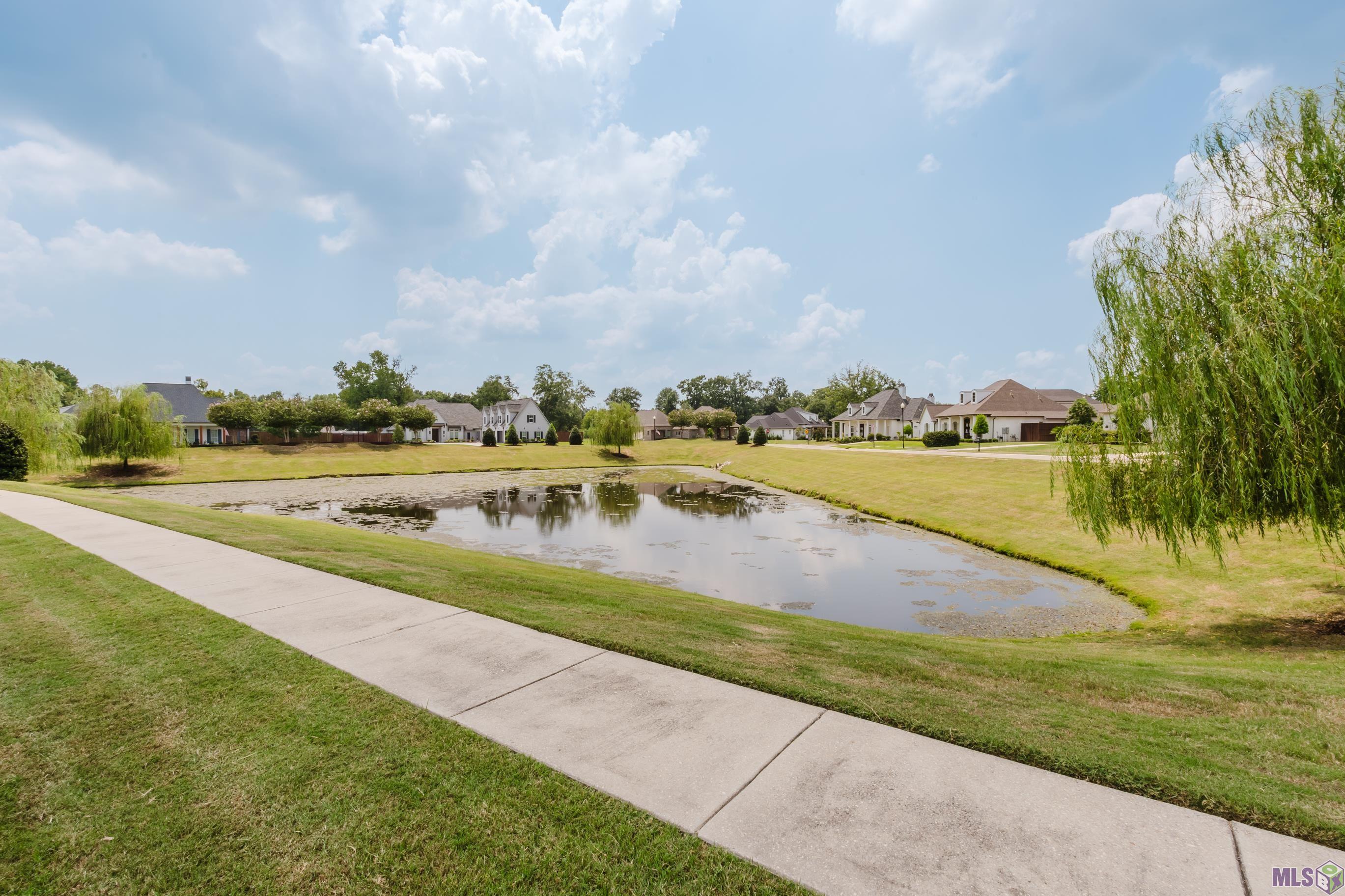 11390 Rock Cove, Geismar, Louisiana image 49