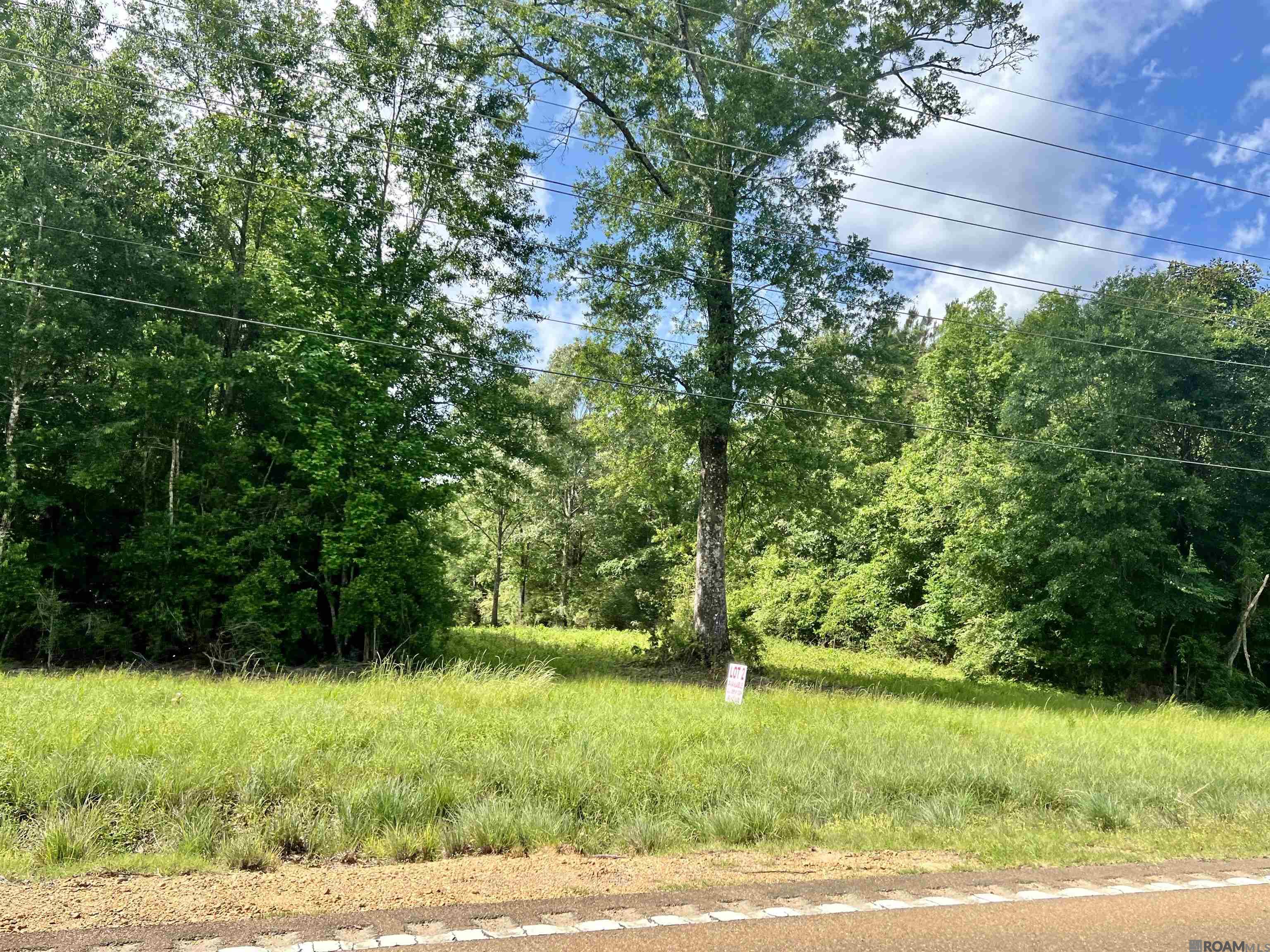 LOT 1 Hwy 24, Centreville, Mississippi image 2