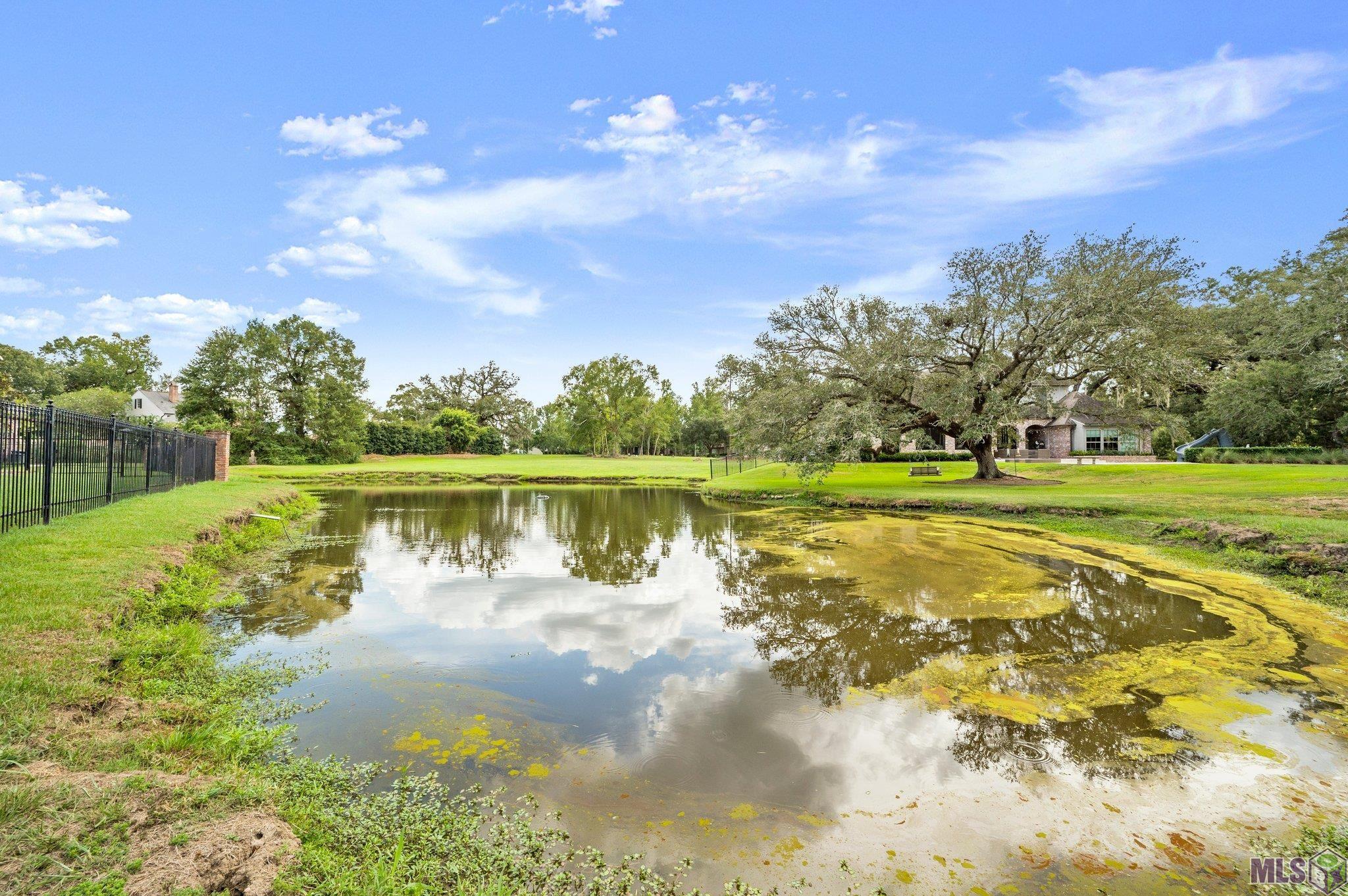 37168 St Andrews, Prairieville, Louisiana image 4