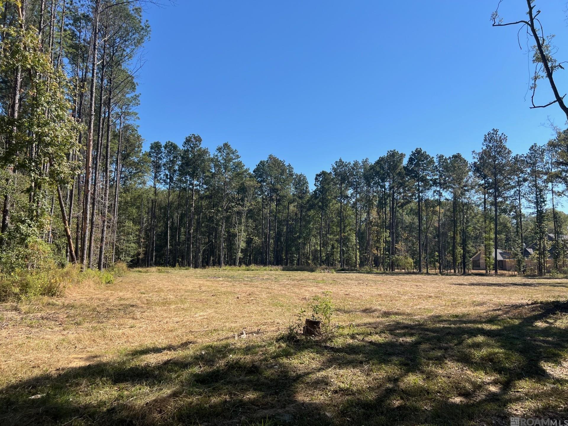 Lot 50 Burkett Ln, Denham Springs, Louisiana image 1