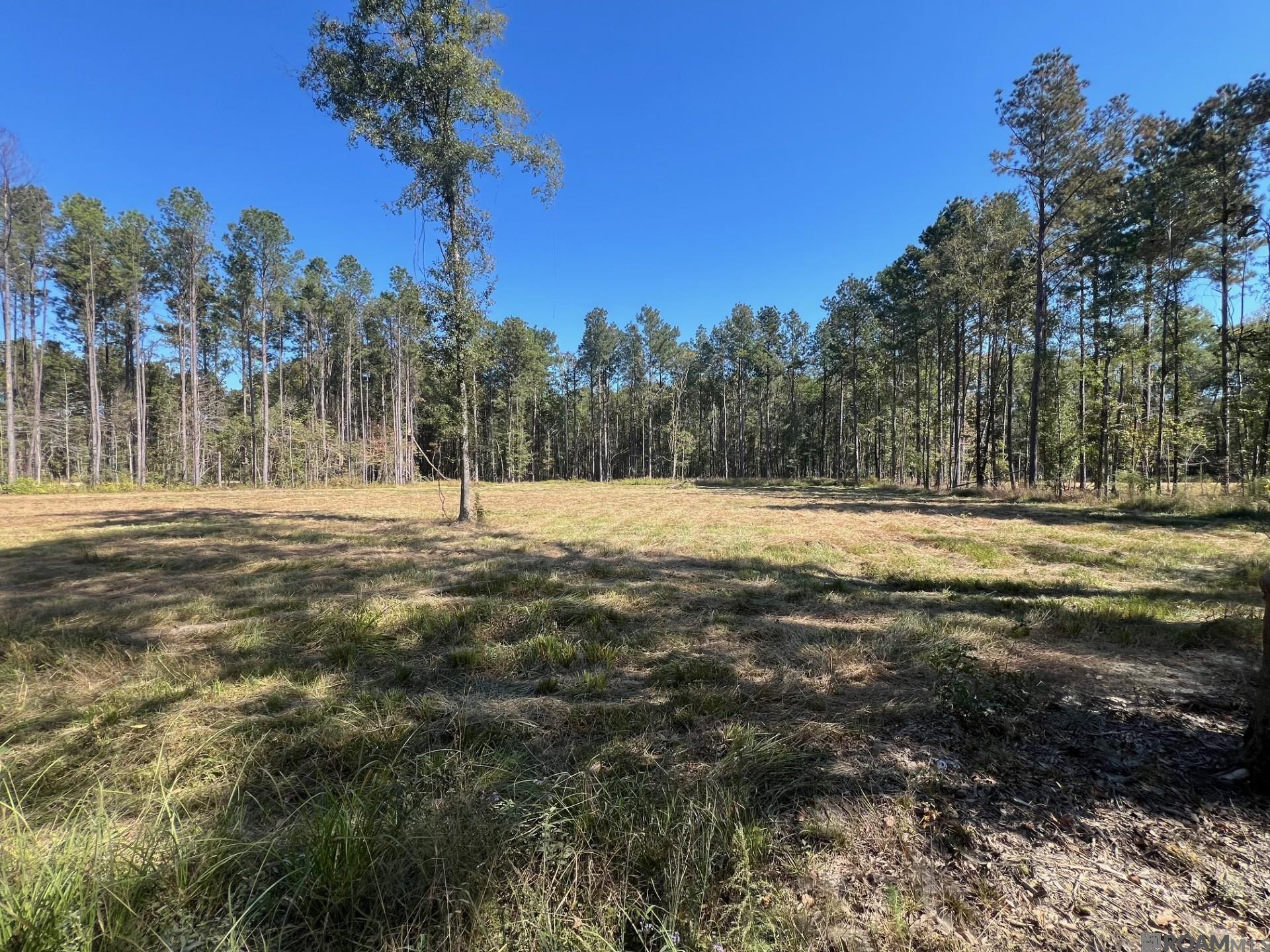 Lot 50 Burkett Ln, Denham Springs, Louisiana image 6