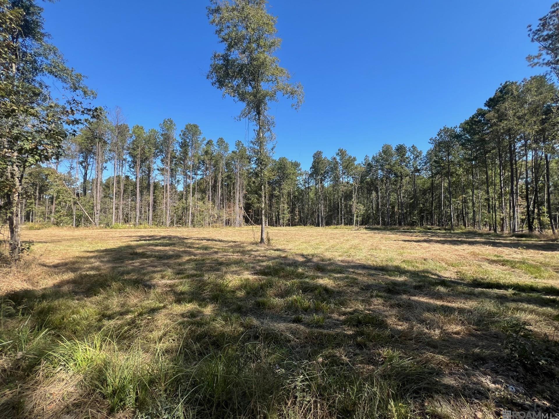 Lot 50 Burkett Ln, Denham Springs, Louisiana image 5