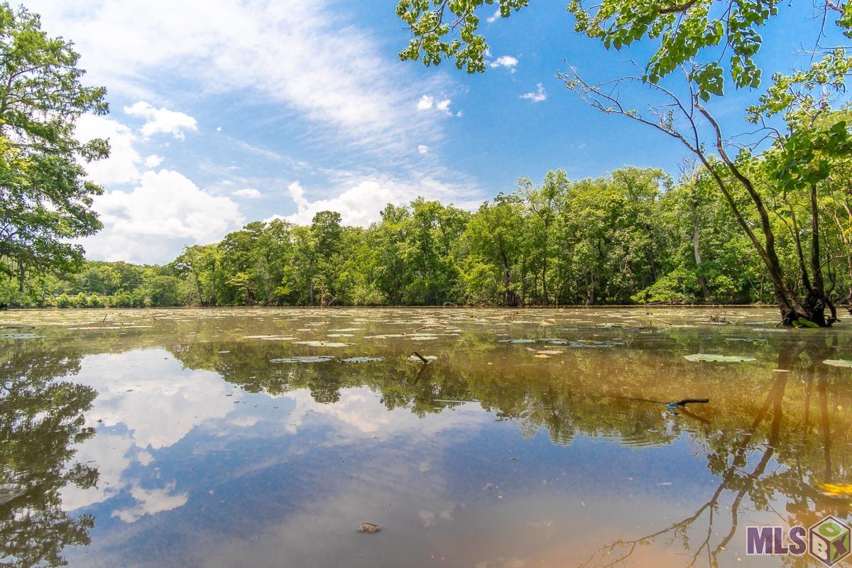 TBD Legion Rd, French Settlement, Louisiana image 2