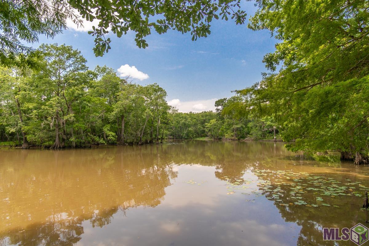 TBD Legion Rd, French Settlement, Louisiana image 8