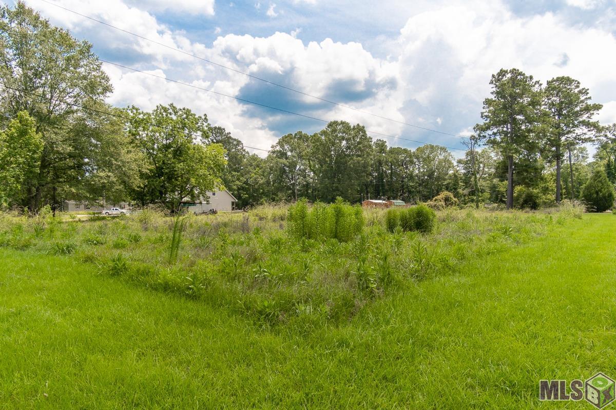 TBD Legion Rd, French Settlement, Louisiana image 9