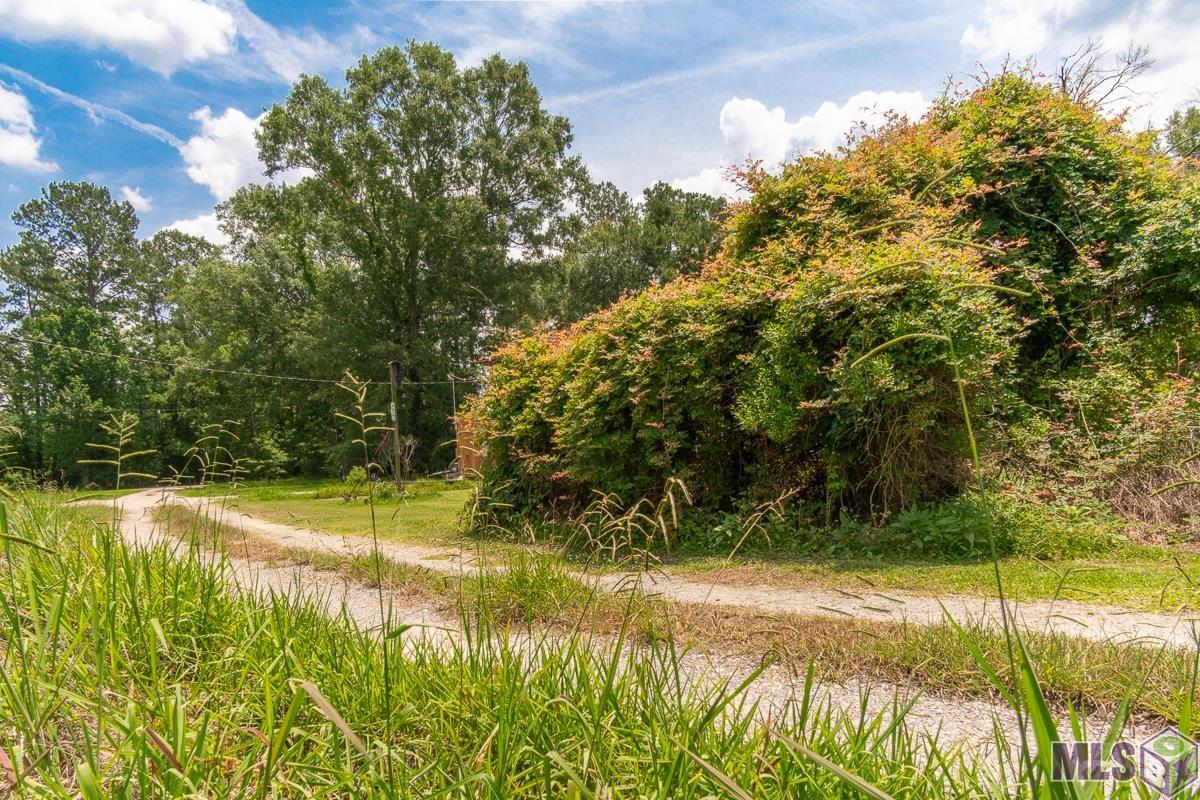 TBD Legion Rd, French Settlement, Louisiana image 4