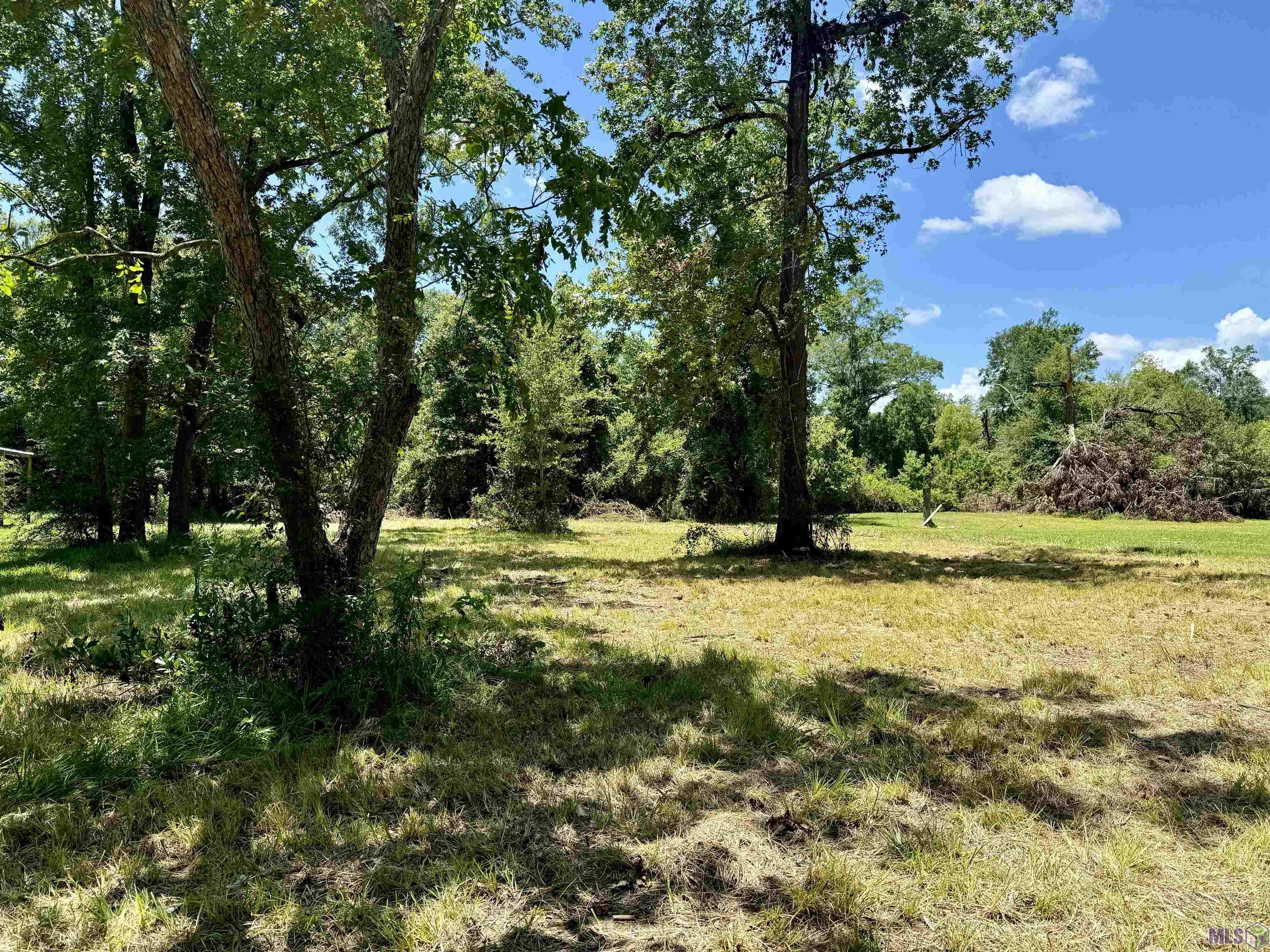 Lot 2-B Hazeloak Dr, Baker, Louisiana image 3