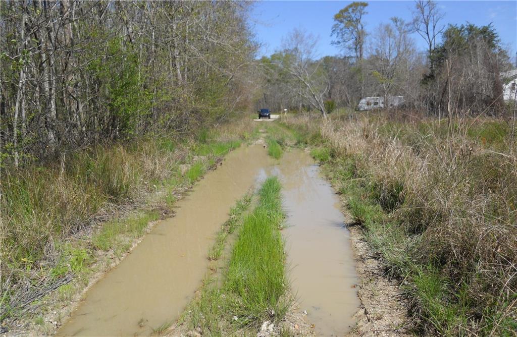 39390 Honey Island Swamp Road, Pearl River, Louisiana image 3