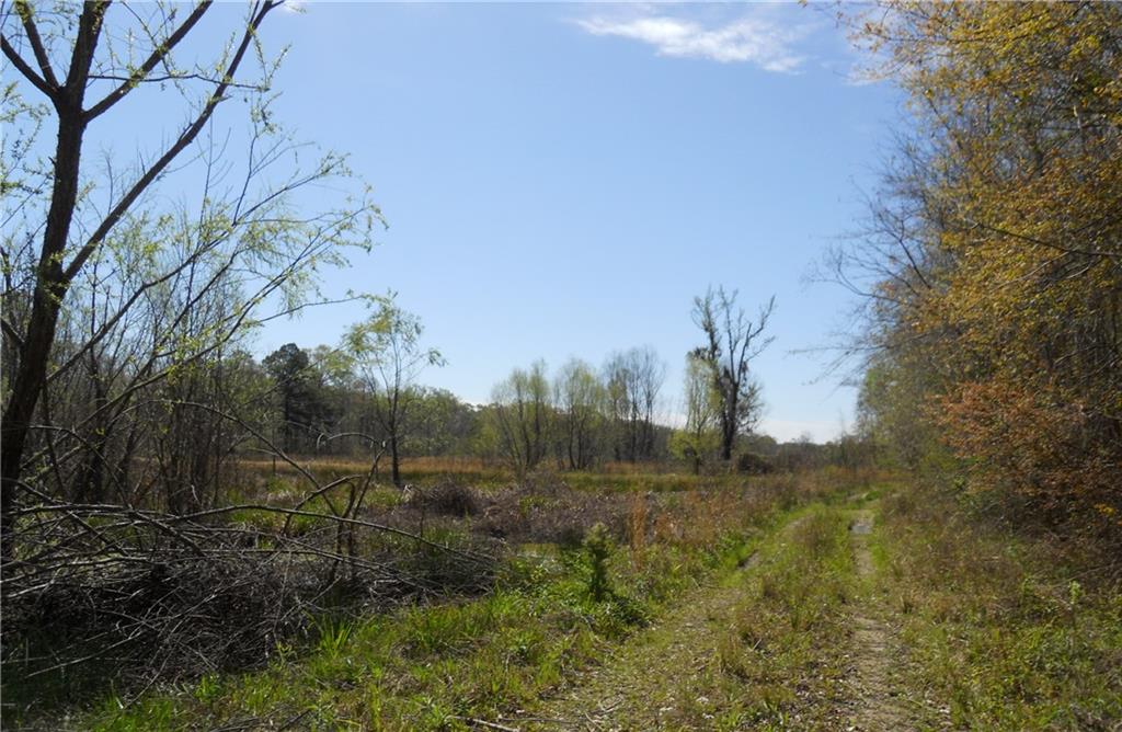 39390 Honey Island Swamp Road, Pearl River, Louisiana image 6