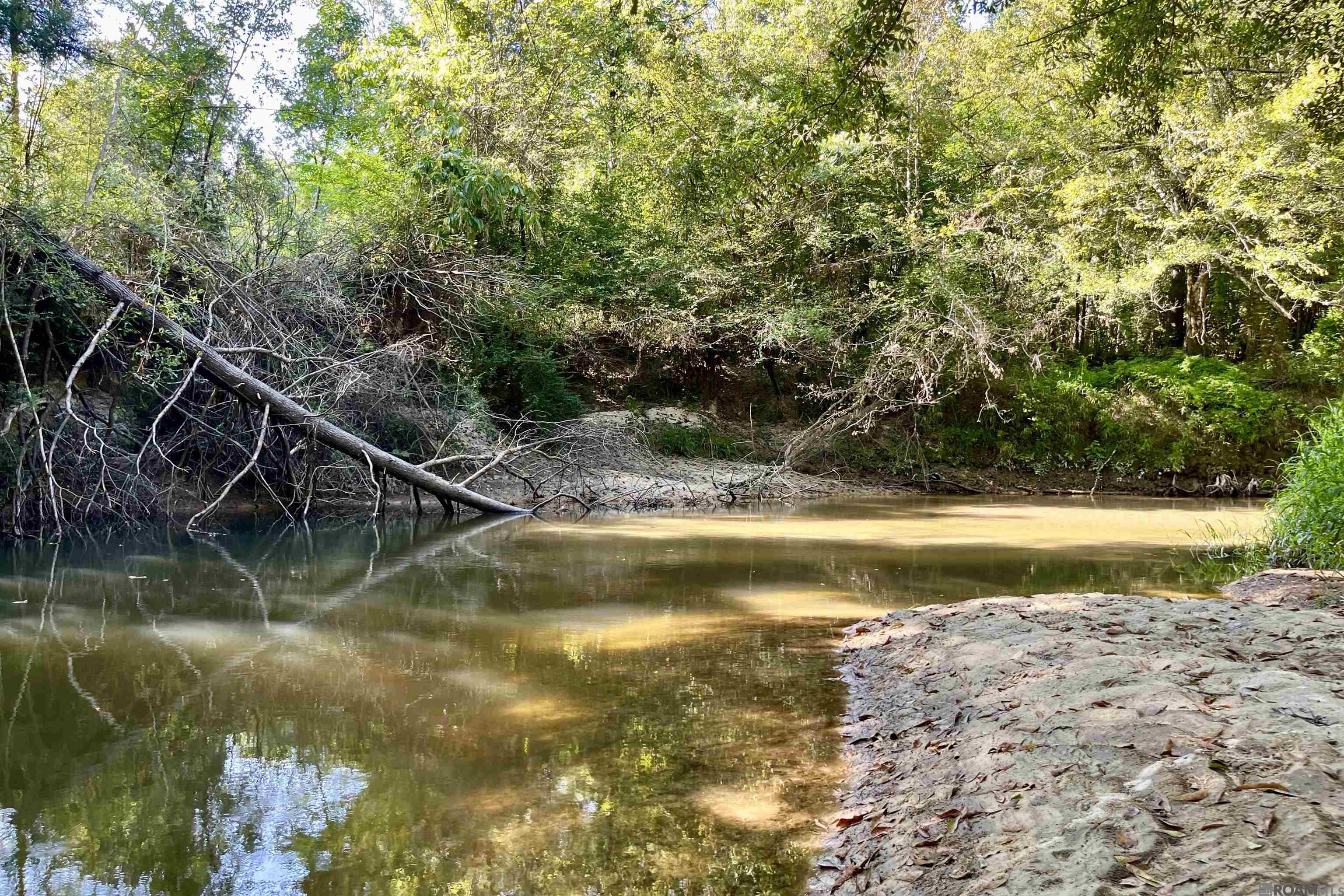 10 Hwy 1062, Loranger, Louisiana image 8