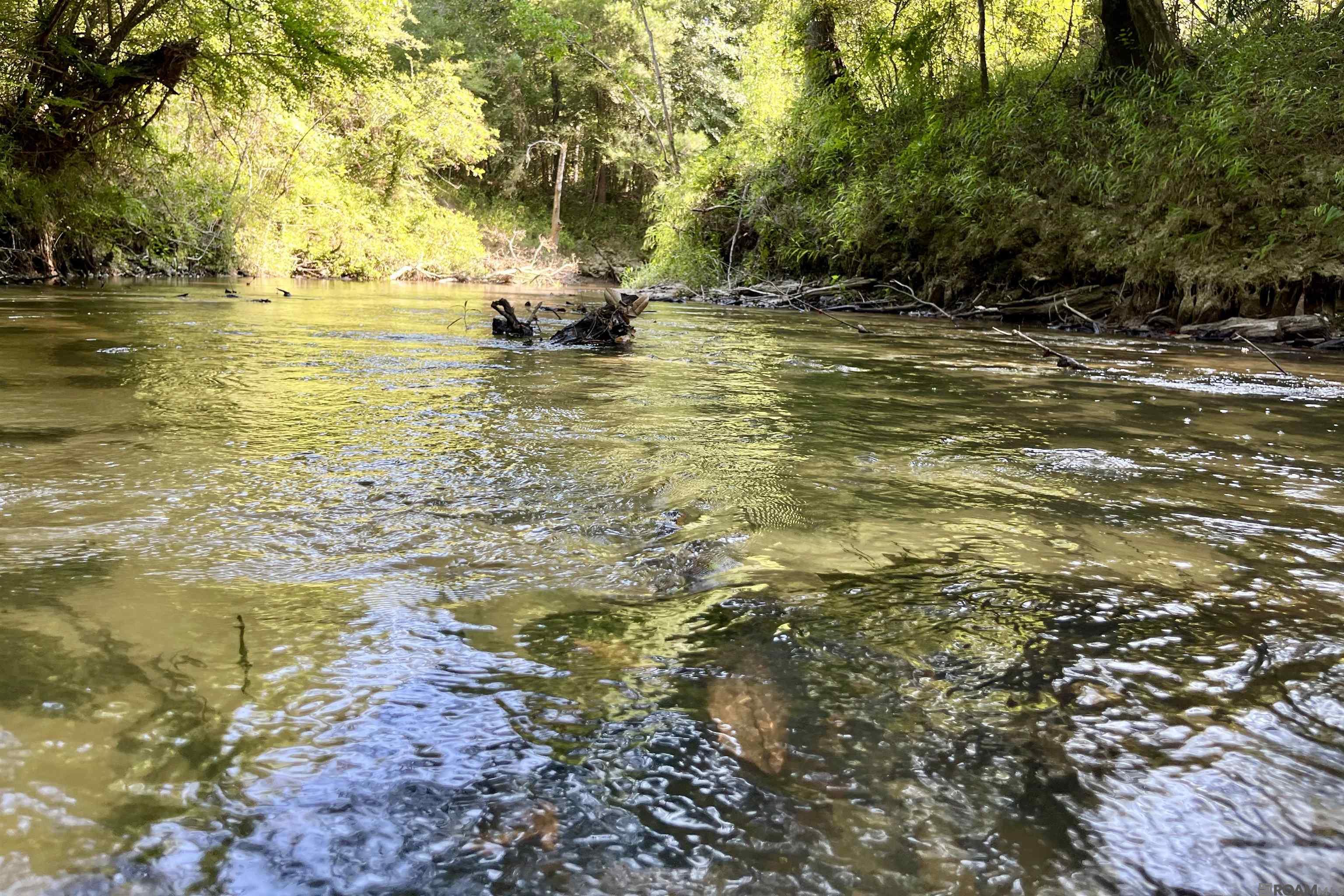 10 Hwy 1062, Loranger, Louisiana image 43