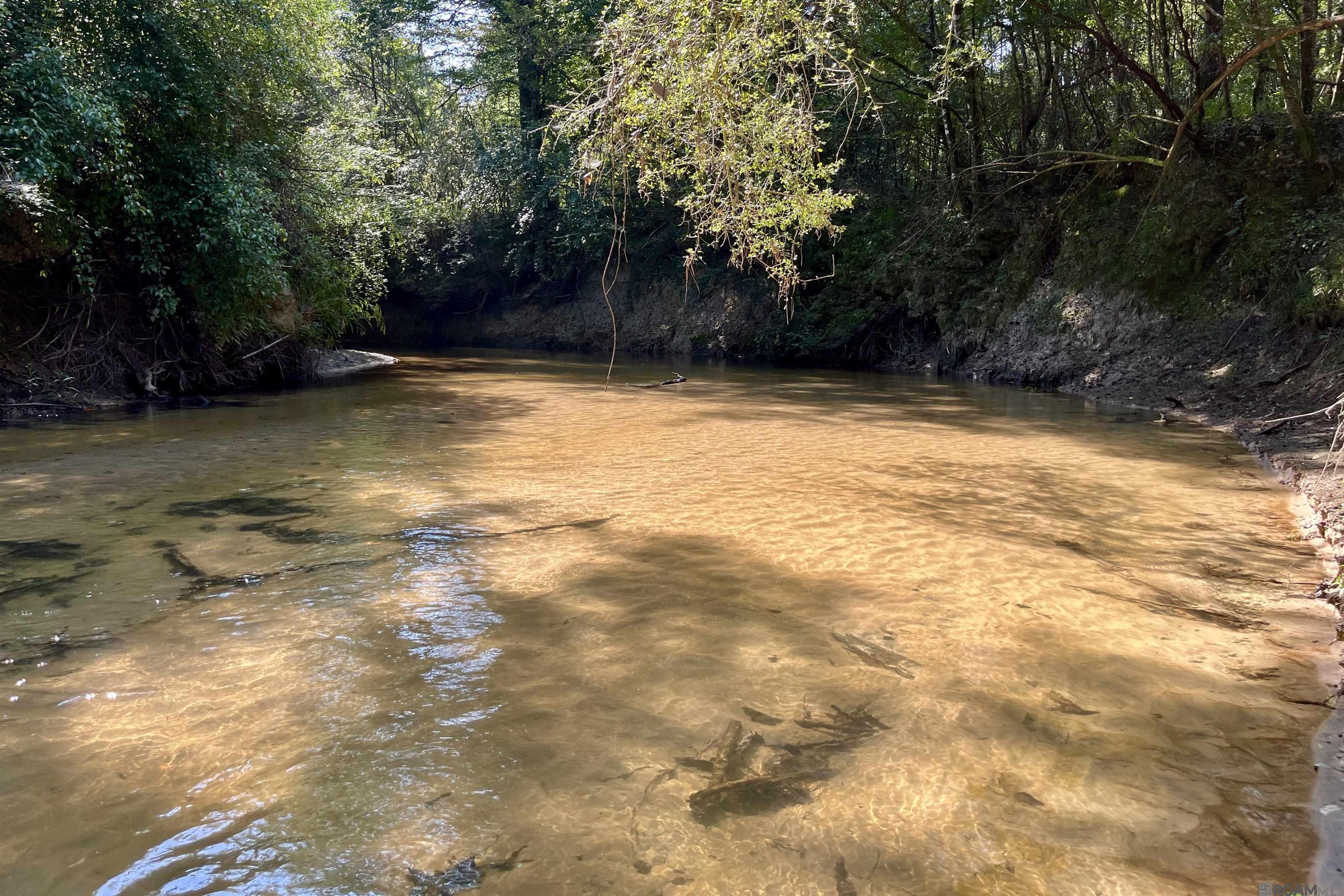 10 Hwy 1062, Loranger, Louisiana image 49