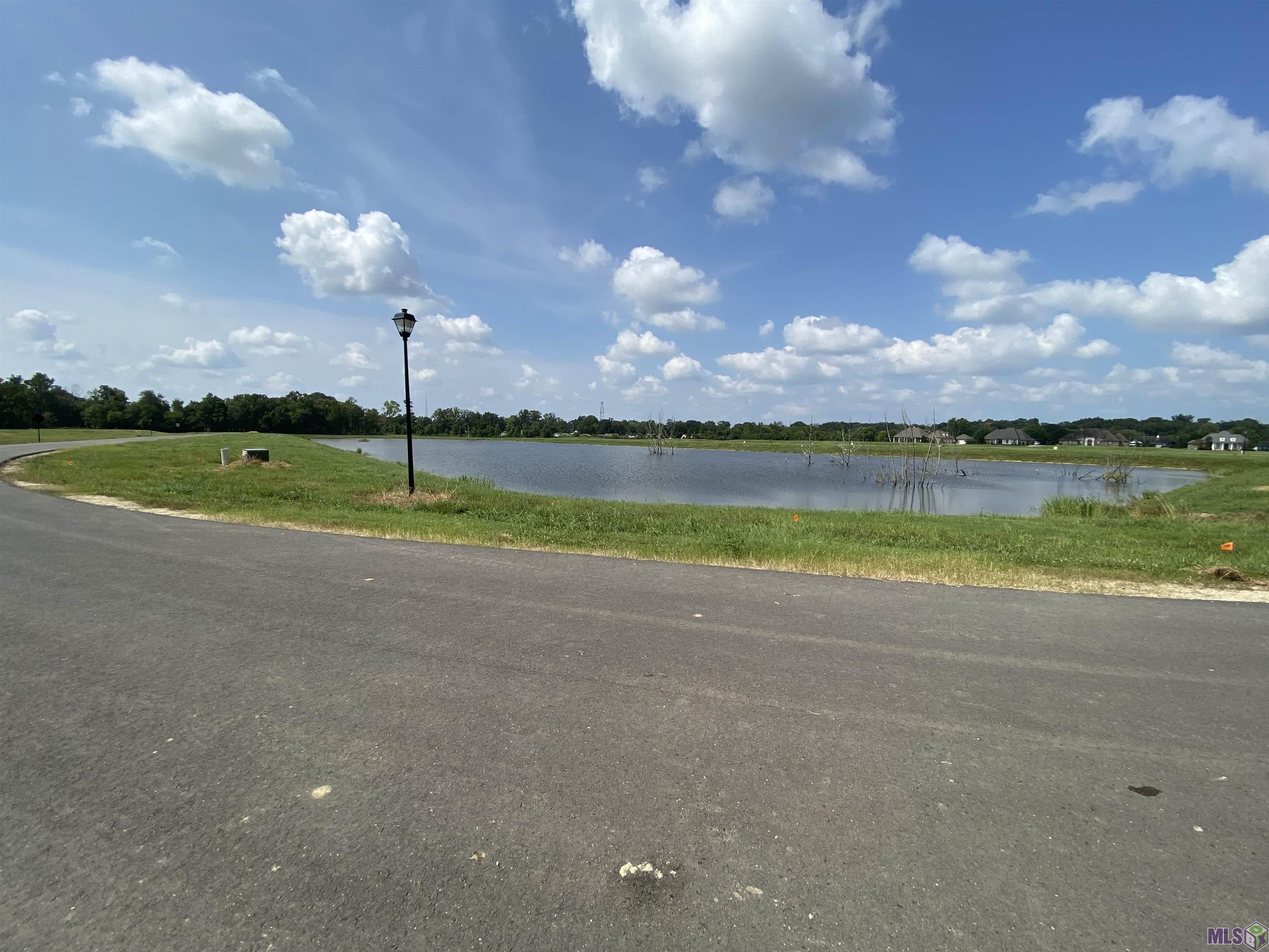 Lot 29 Buddy Gore Rd, Gonzales, Louisiana image 4