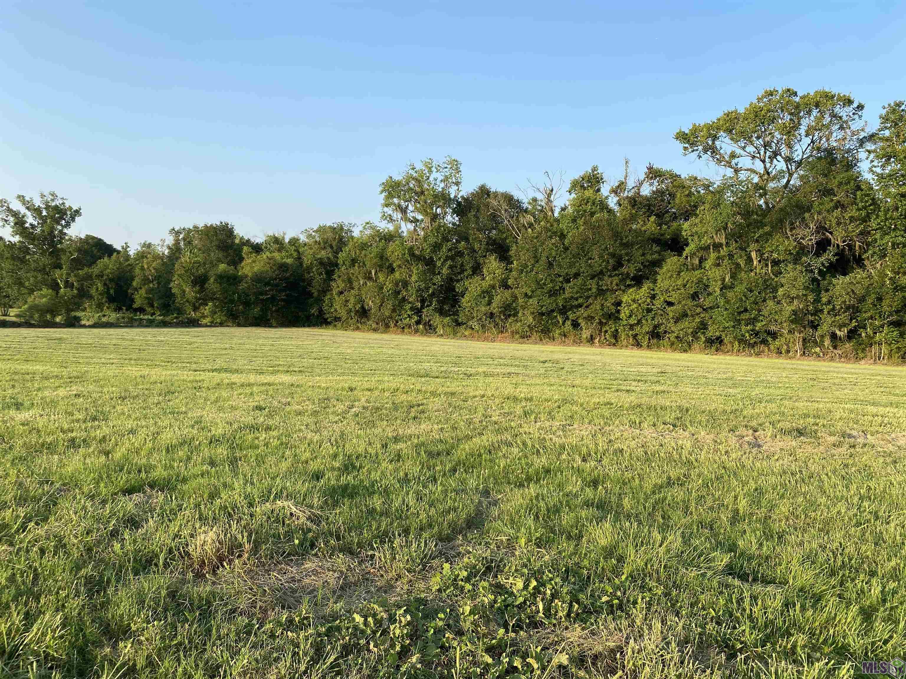 Lot 29 Buddy Gore Rd, Gonzales, Louisiana image 3