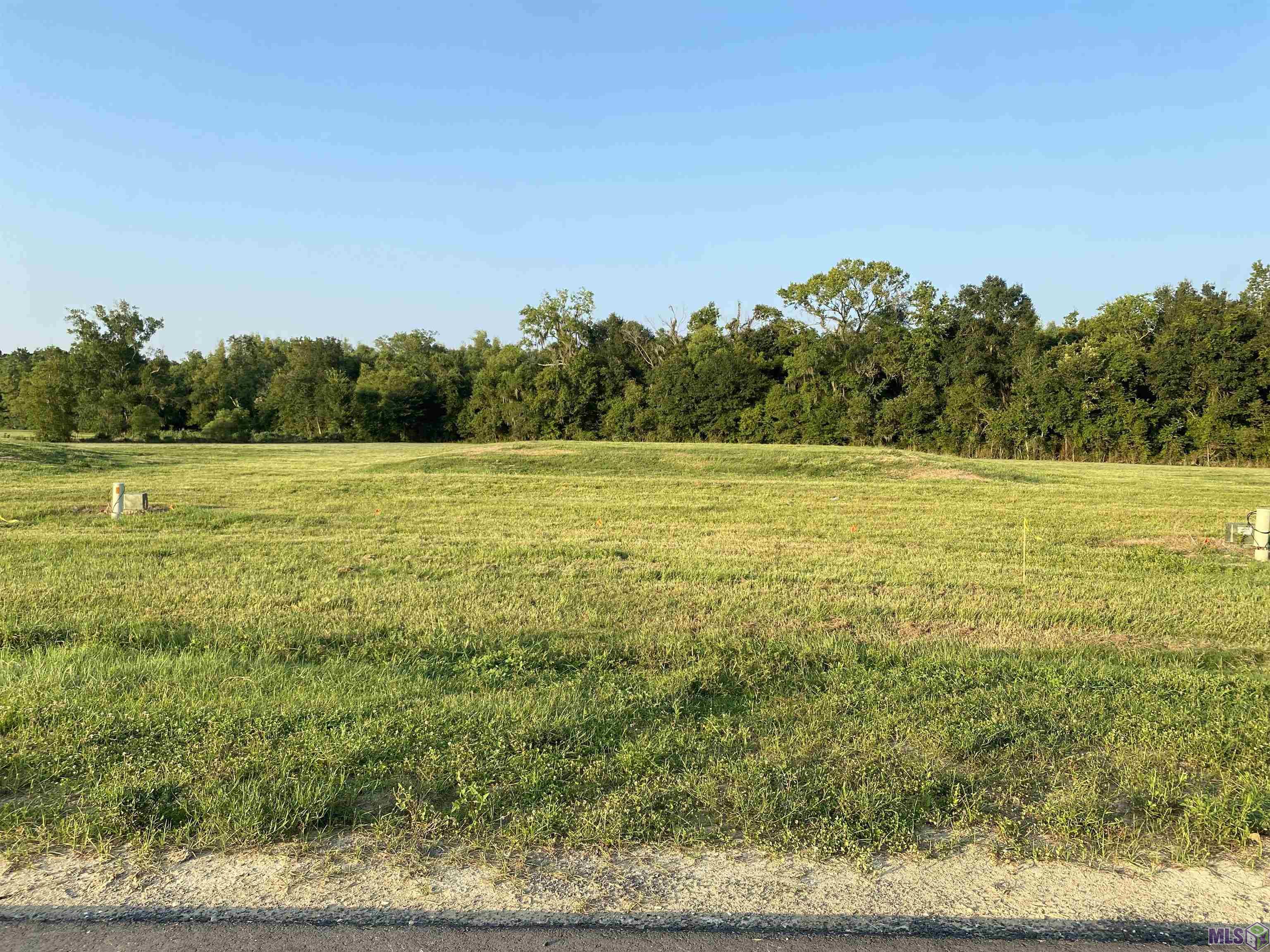 Lot 29 Buddy Gore Rd, Gonzales, Louisiana image 1