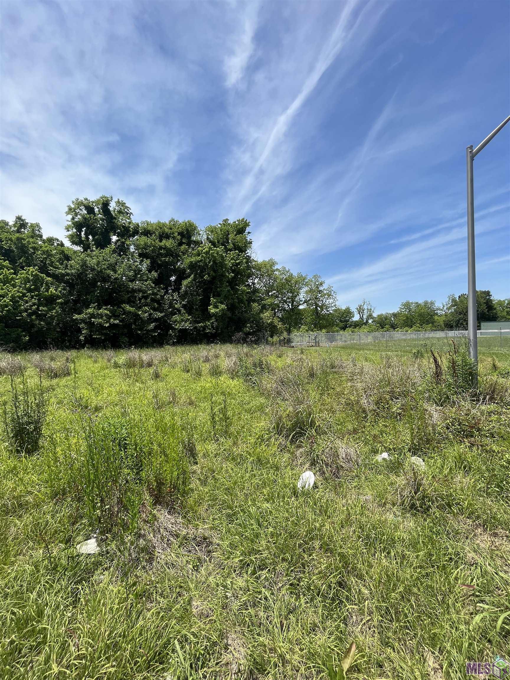 Lot 13L Jackson Sq, New Roads, Louisiana image 2