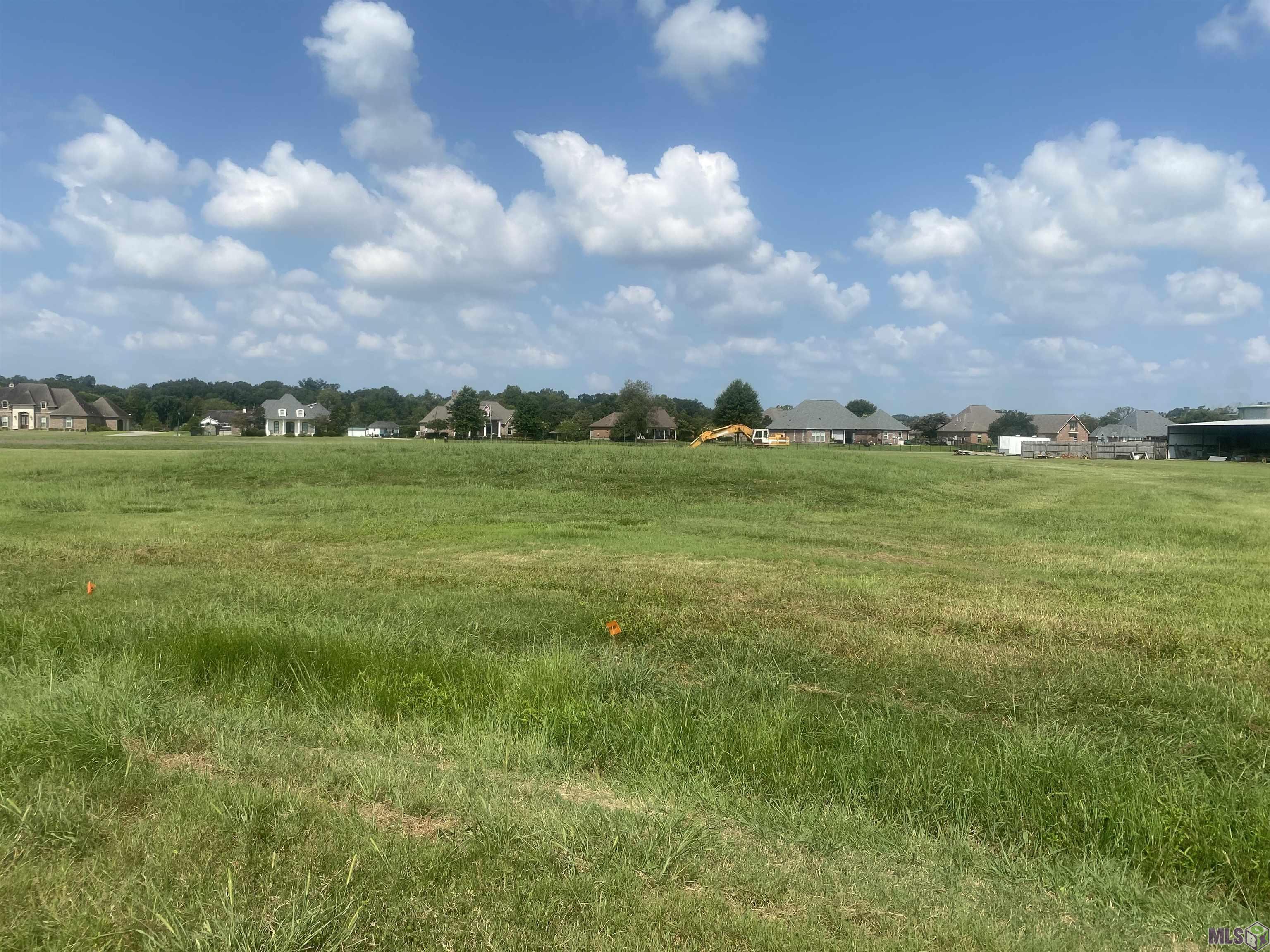 Lot 24 Buddy Gore Rd, Gonzales, Louisiana image 1