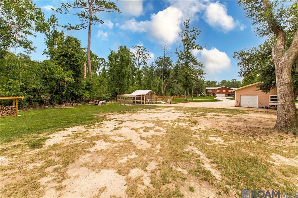 6.9 AC Meisner Road, Springfield, Louisiana image 13