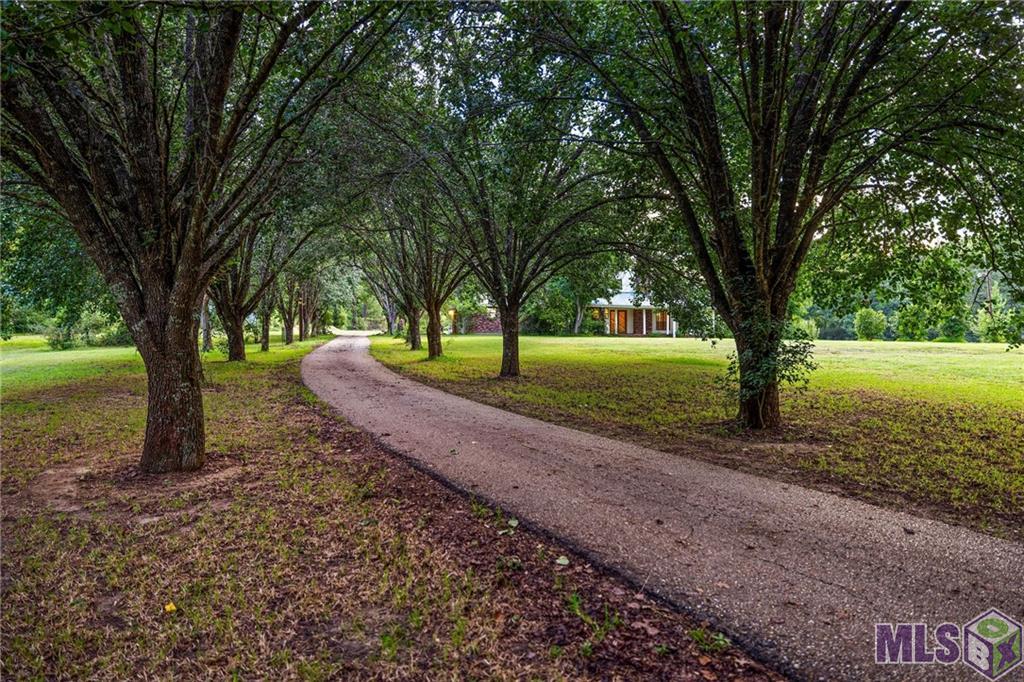 77223 J W Schilling Road, Kentwood, Louisiana image 5