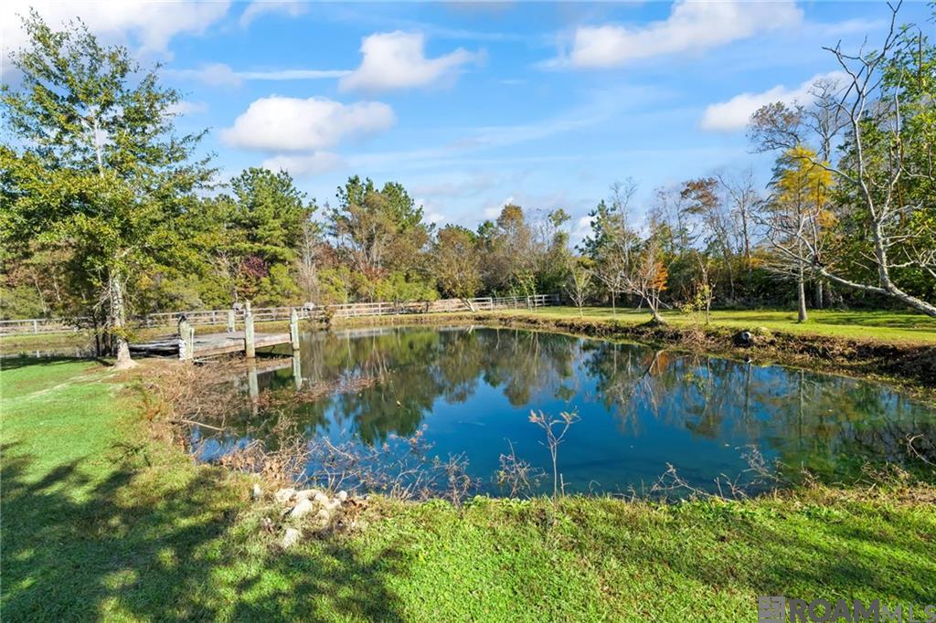 28235 Big Sky Lane, Folsom, Louisiana image 5