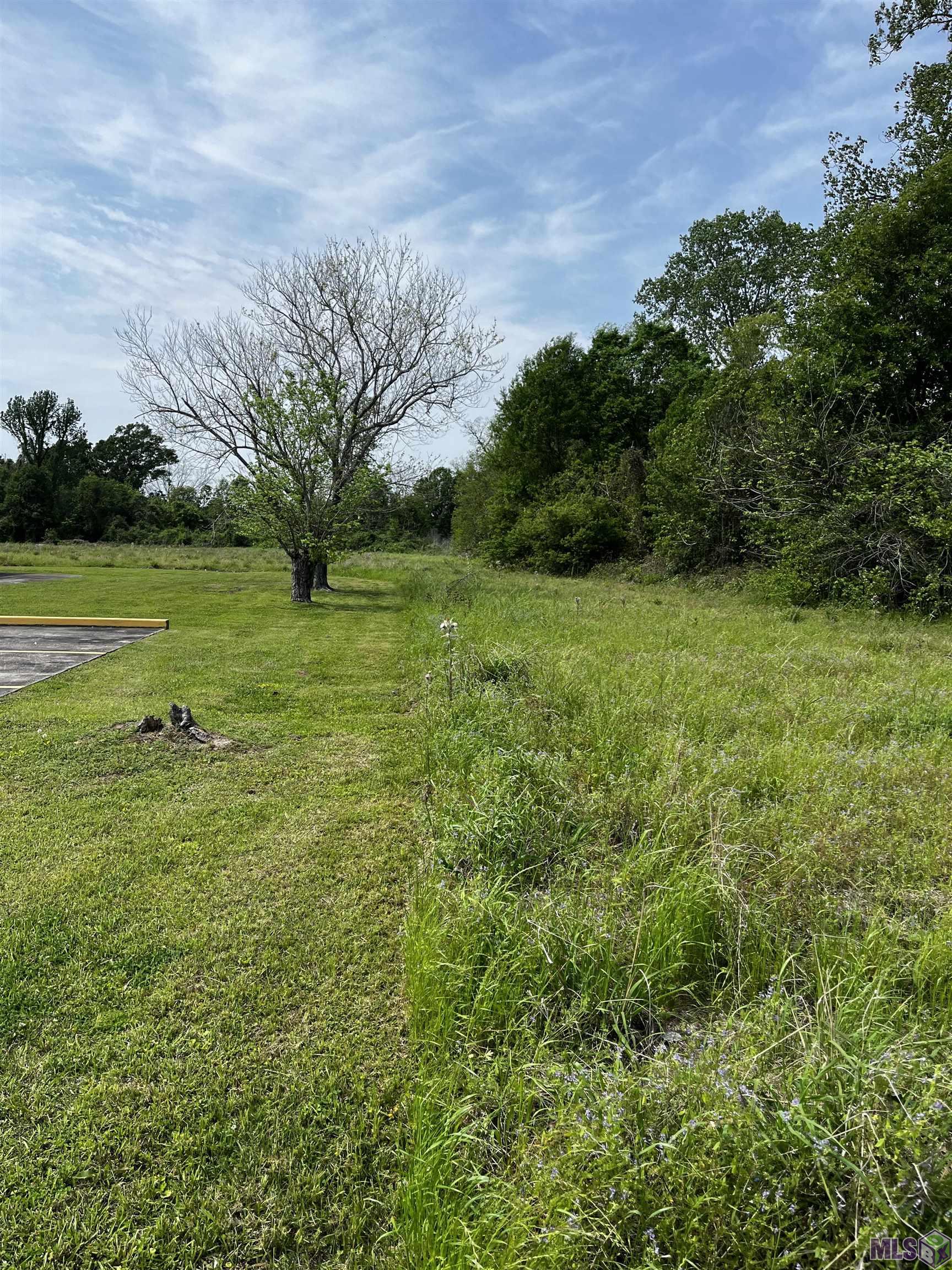 TBD Hospital Rd, New Roads, Louisiana image 2