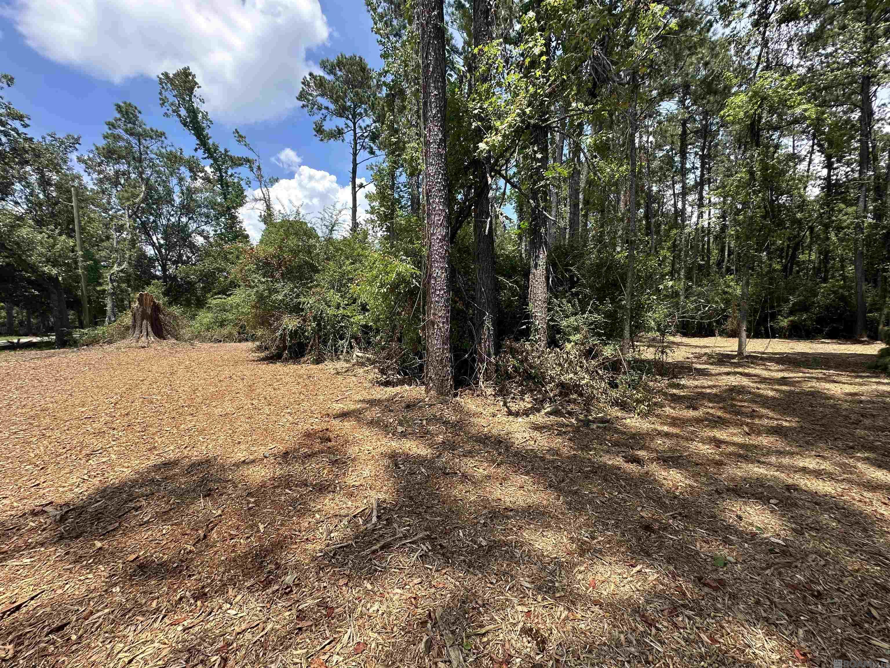 2 ACRES Norma Dr, Denham Springs, Louisiana image 2