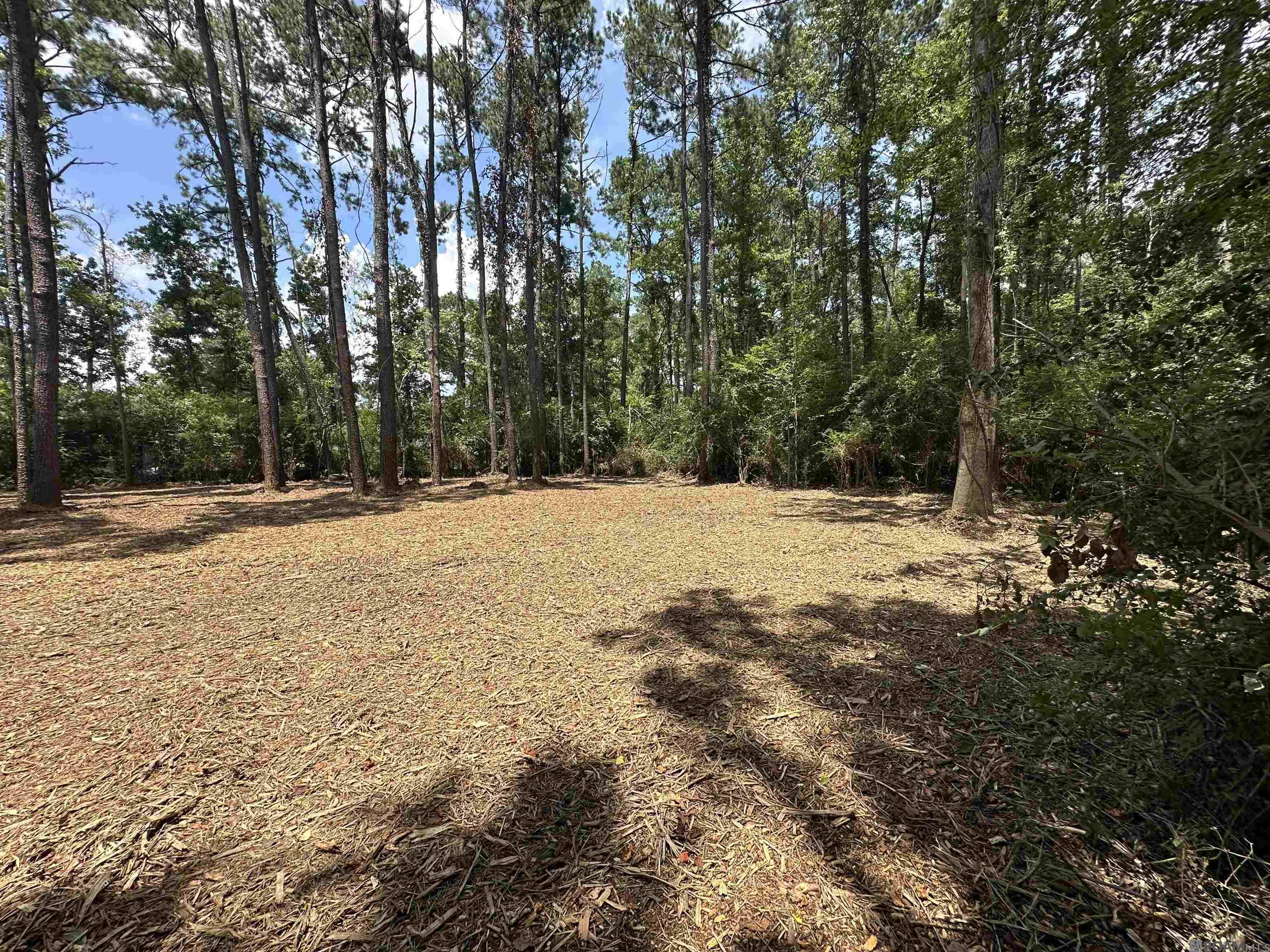 2 ACRES Norma Dr, Denham Springs, Louisiana image 1