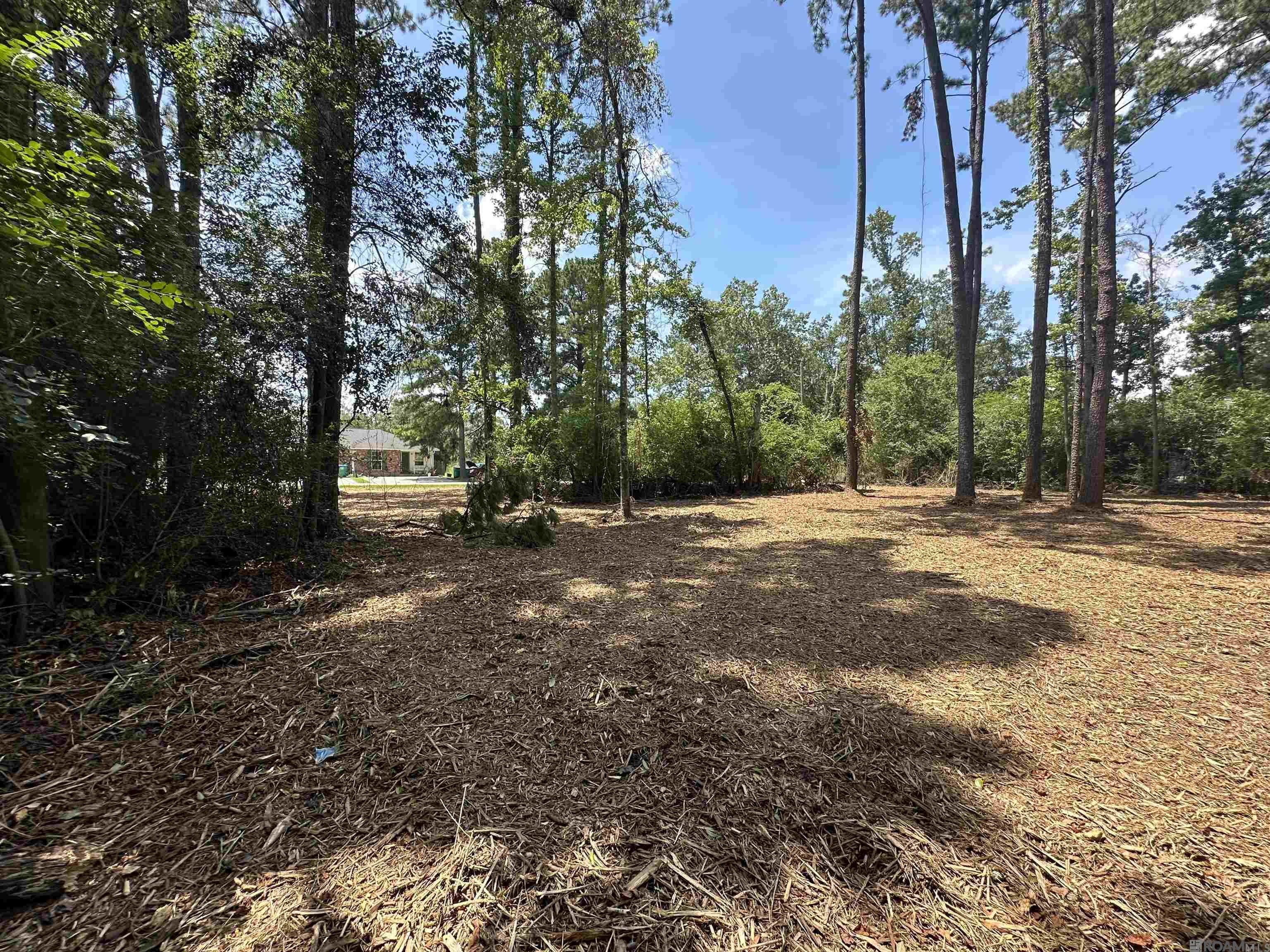 2 ACRES Norma Dr, Denham Springs, Louisiana image 4