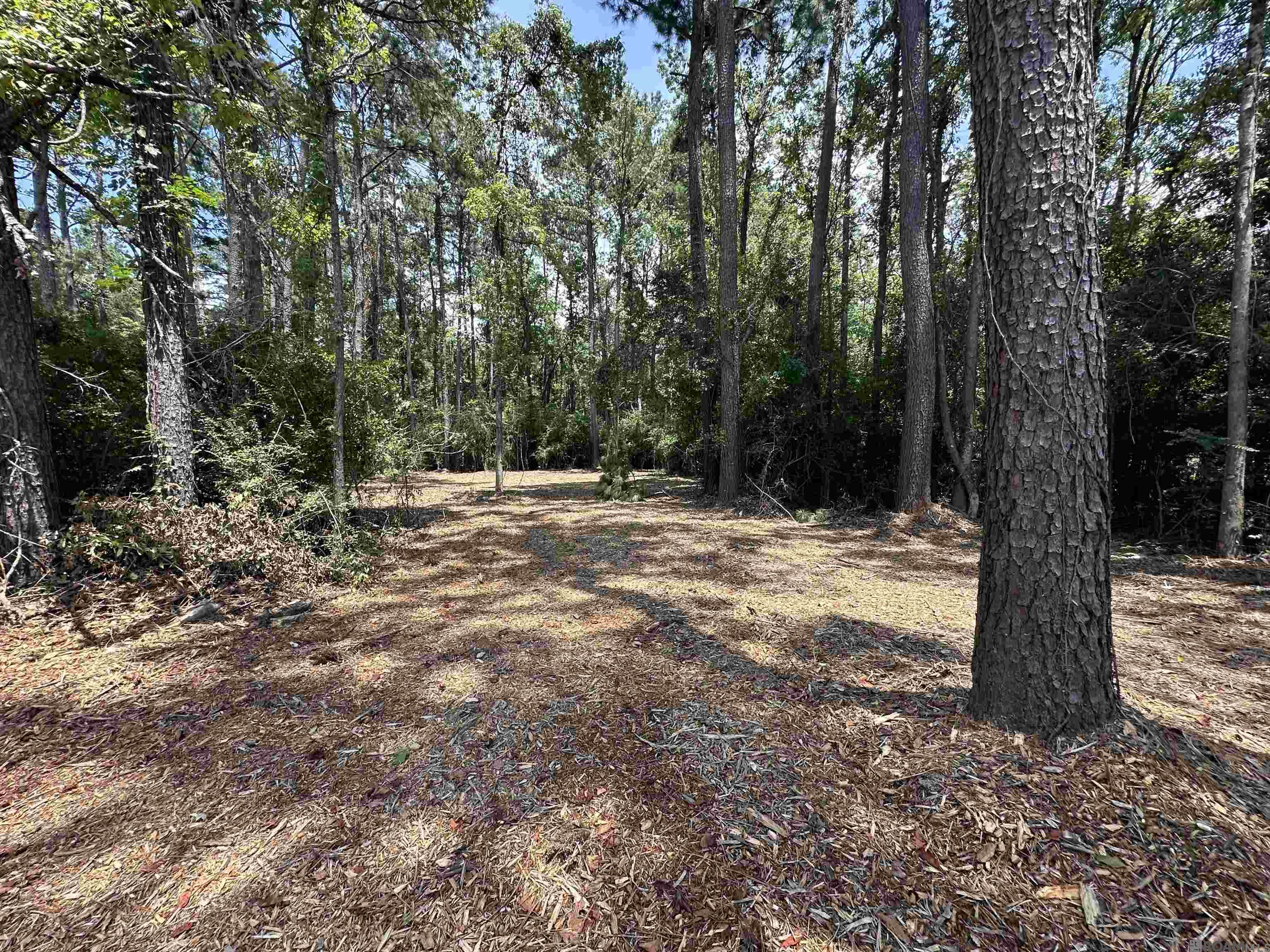 2 ACRES Norma Dr, Denham Springs, Louisiana image 3