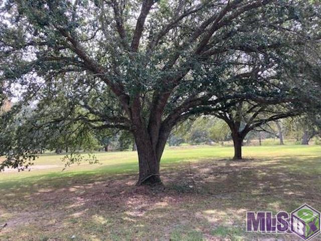 17229 E Swamp Rd, Prairieville, Louisiana image 1