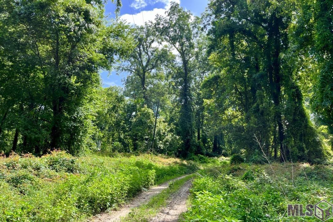 01 Cat Island Rd, Saint Francisville, Louisiana image 6