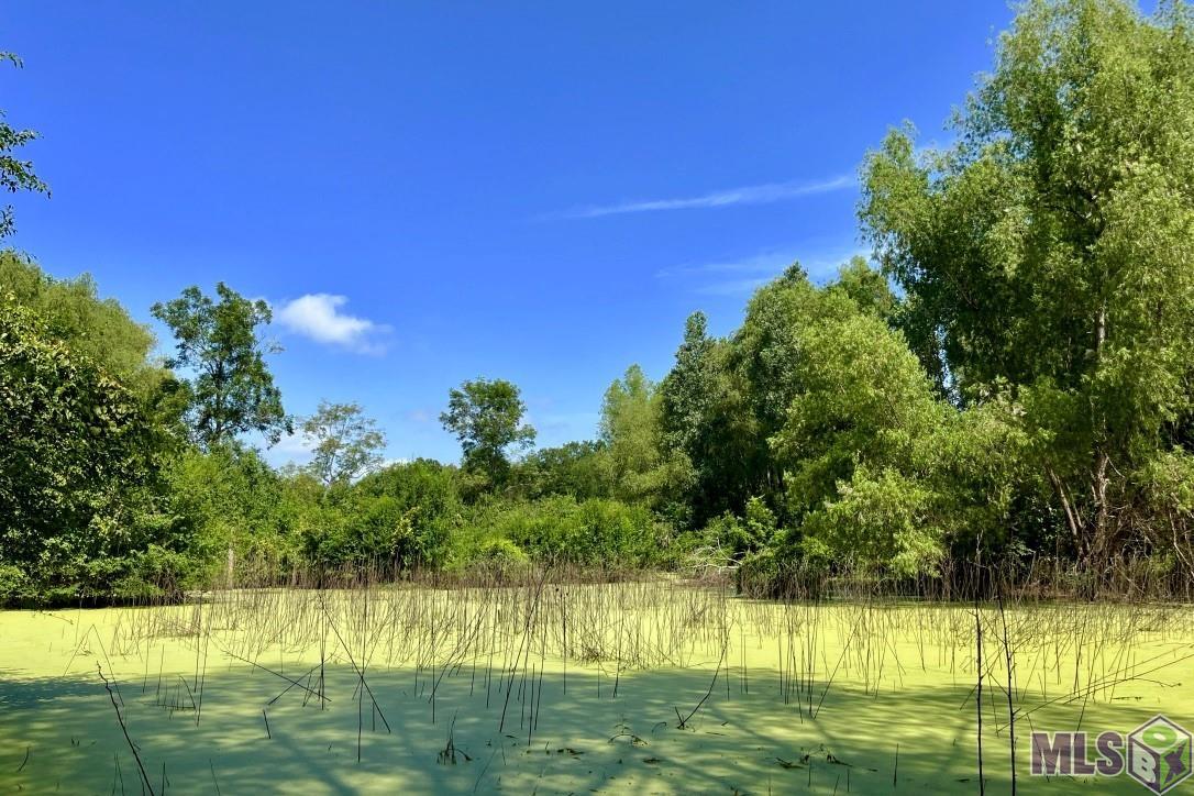 01 Cat Island Rd, Saint Francisville, Louisiana image 12