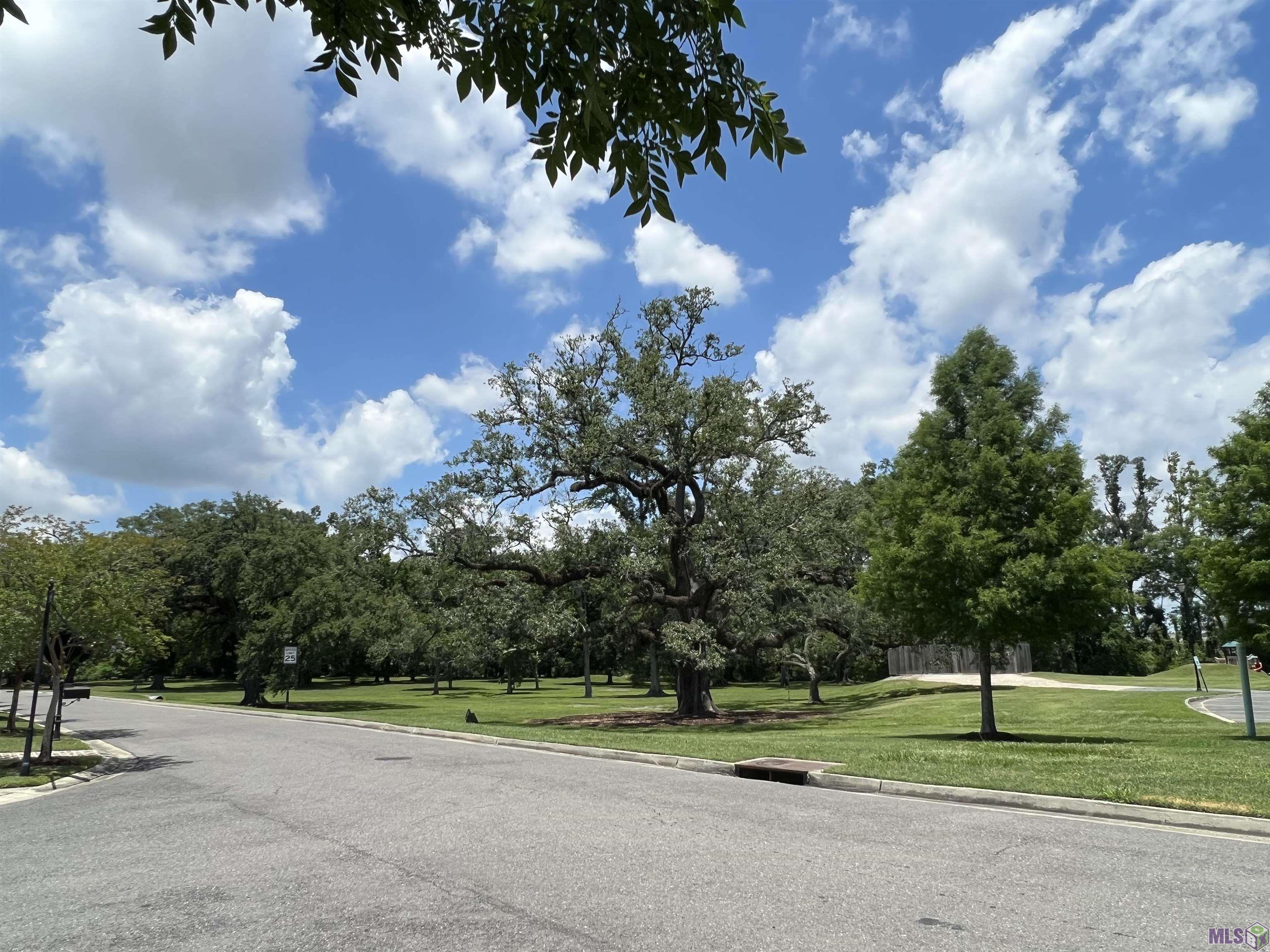 Silo Dr, Baton Rouge, Louisiana image 23