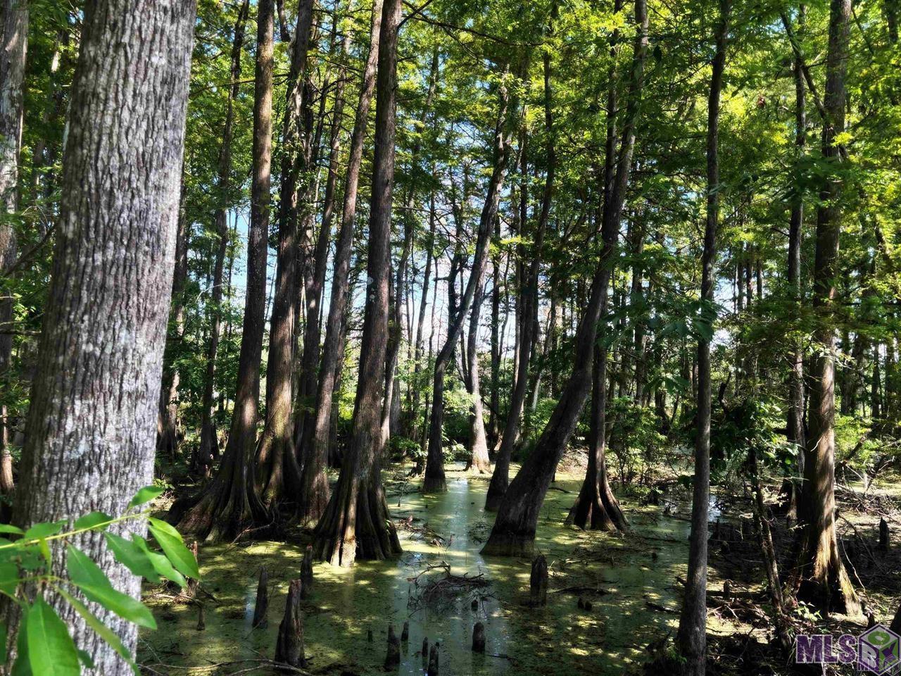 18668 Muddy Creek Rd, Prairieville, Louisiana image 10