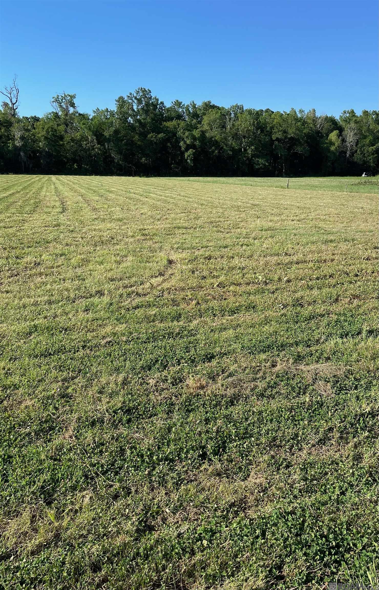 X7-G-1-A2B Blue Ln, Sorrento, Louisiana image 1