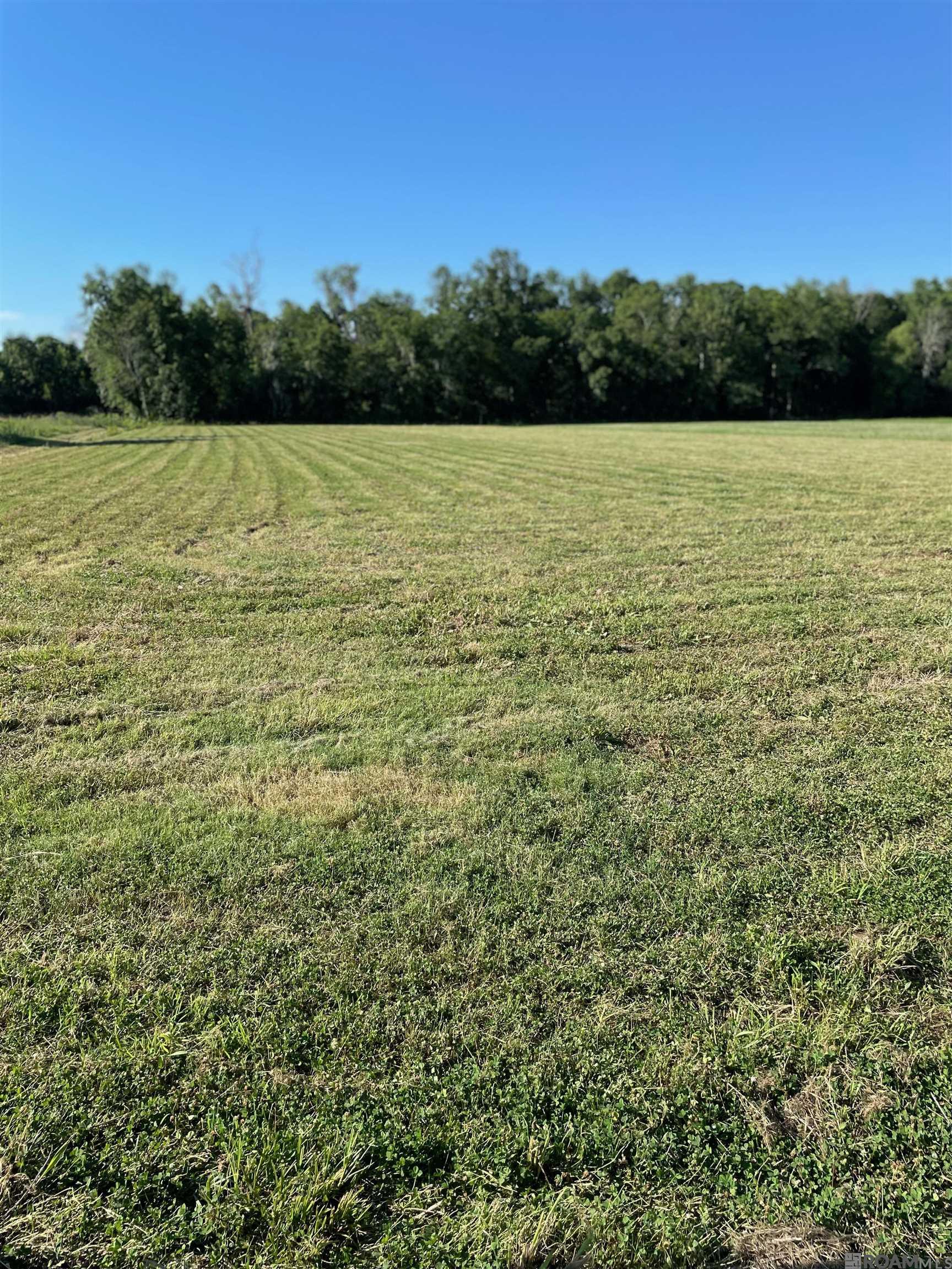 X7-G-1-A2B Blue Ln, Sorrento, Louisiana image 2