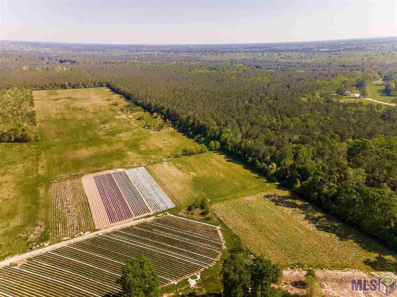 22602 Fletcher Rd, Ponchatoula, Louisiana image 9