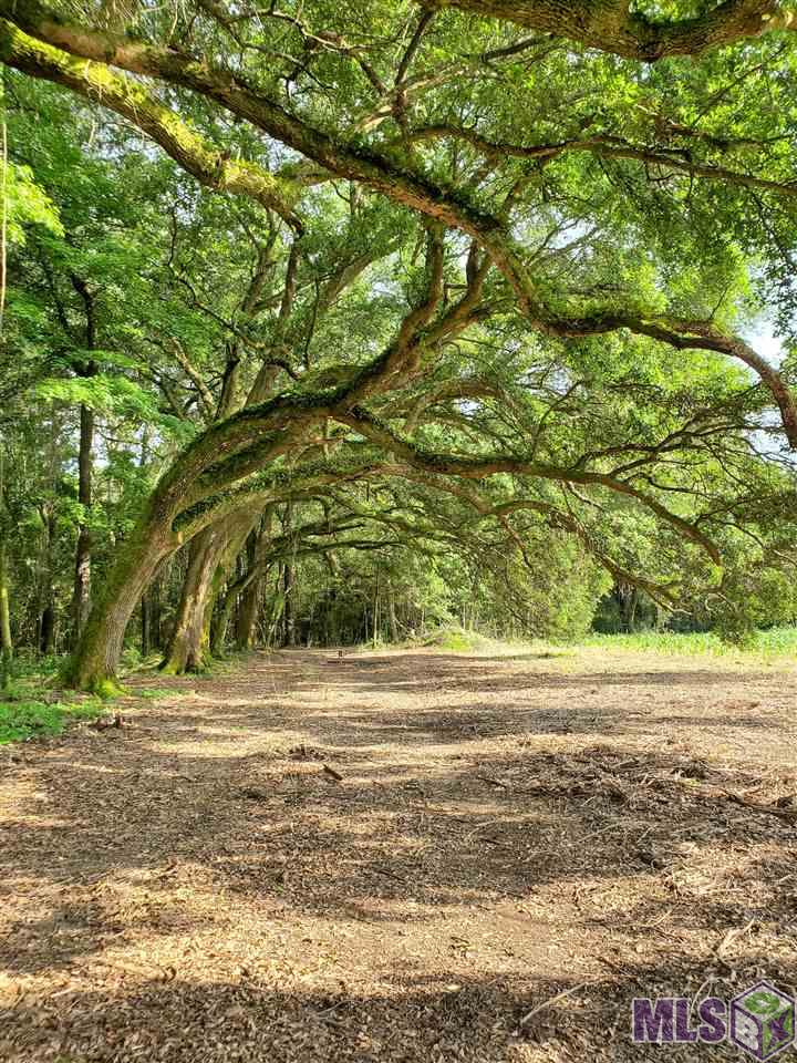 22602 Fletcher Rd, Ponchatoula, Louisiana image 6