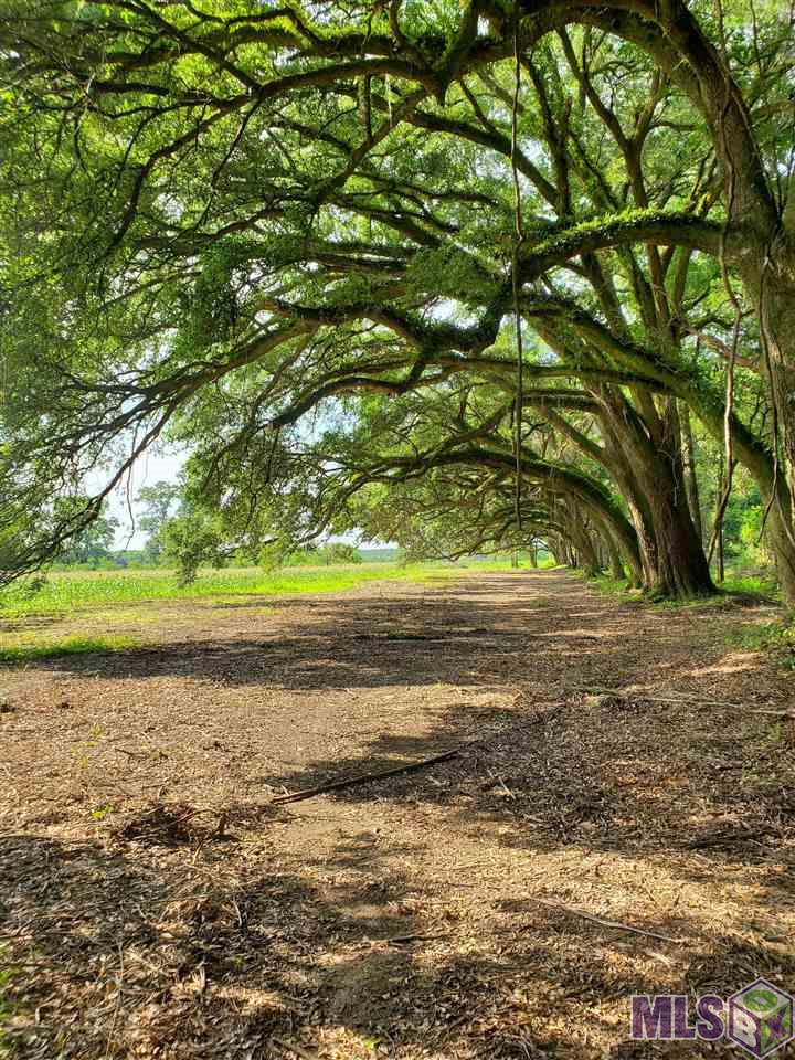 22602 Fletcher Rd, Ponchatoula, Louisiana image 1