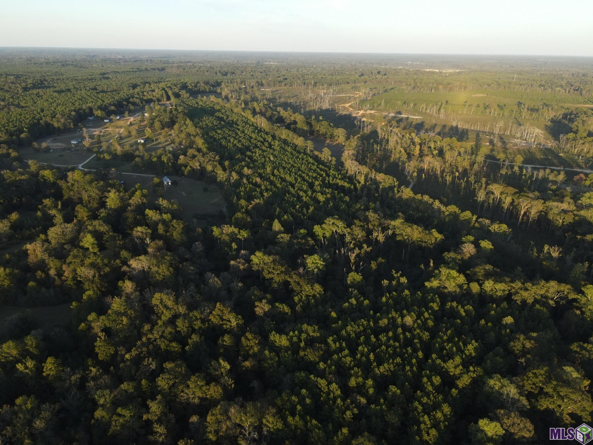 TBD Gilead Rd, Clinton, Louisiana image 14