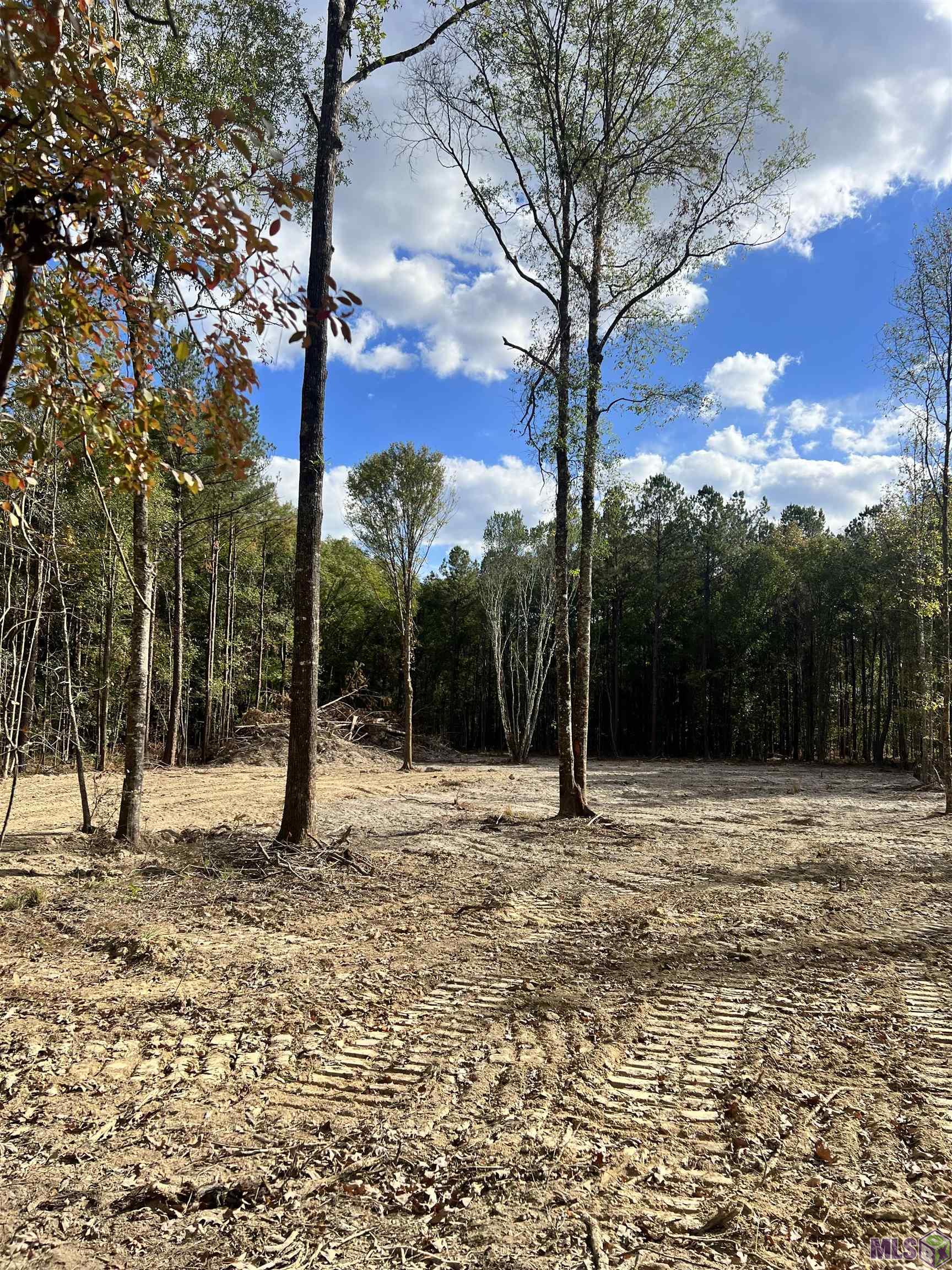 Lot 53 Nesom Rd, Denham Springs, Louisiana image 4