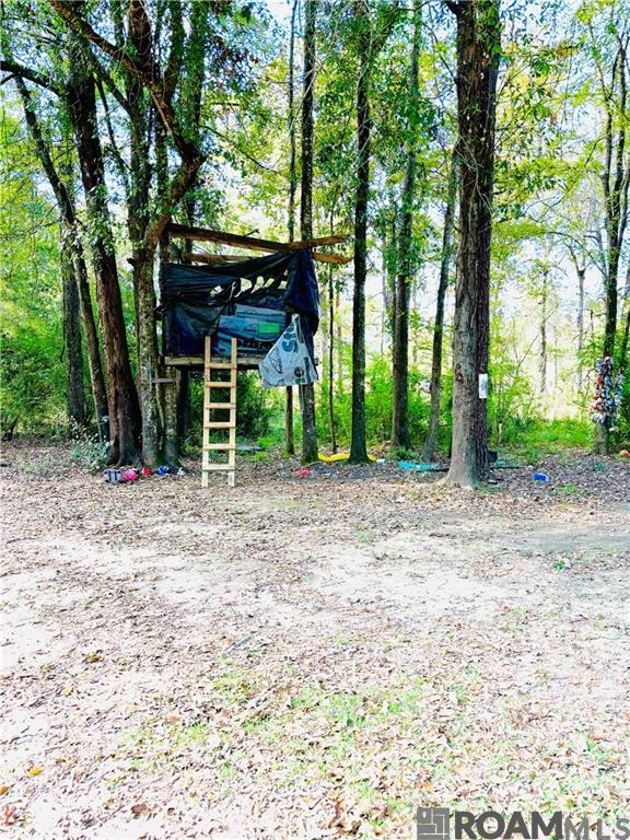 2417 Hickory Hill Road, Pineville, Louisiana image 22