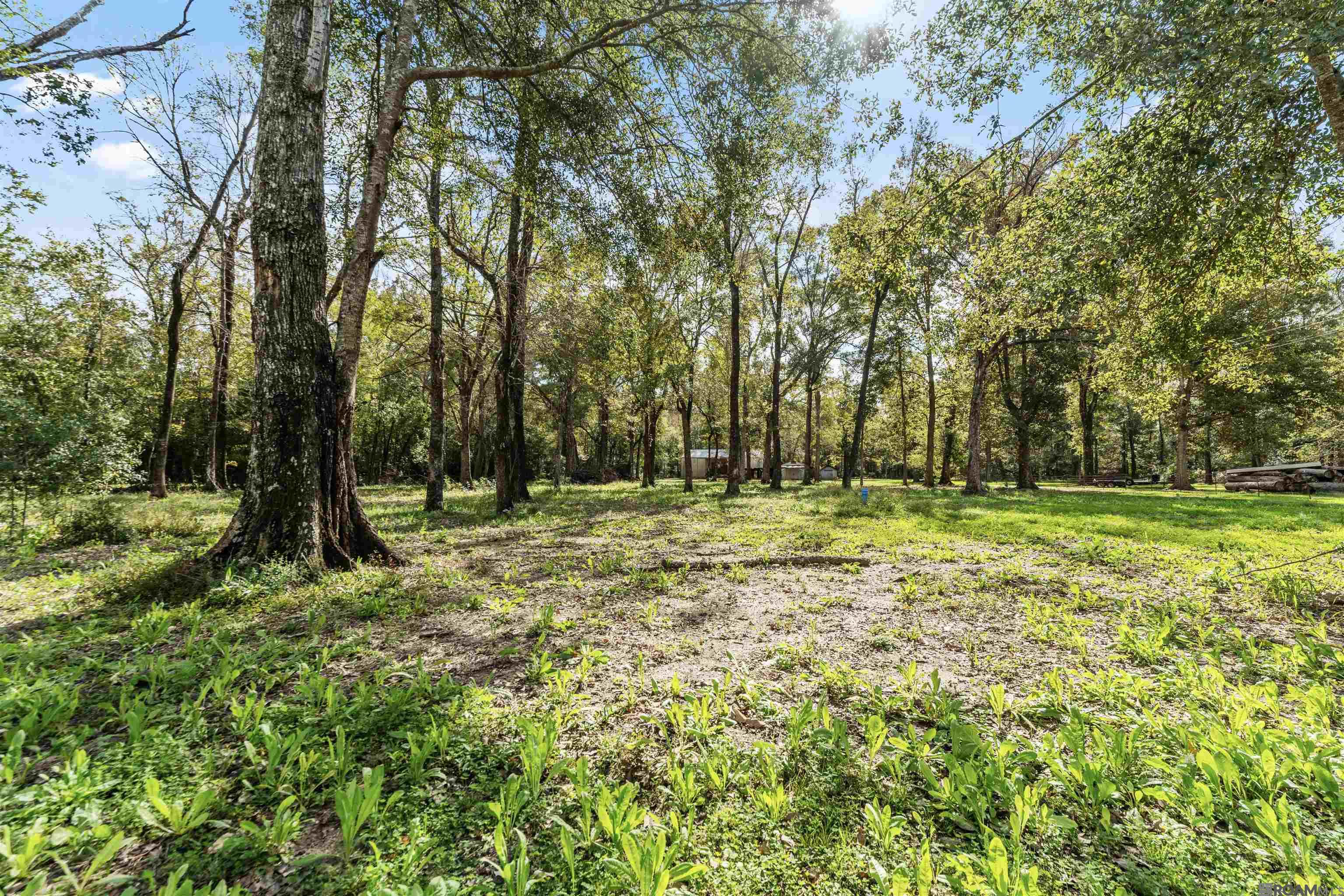 10906 Mccullough Rd, Zachary, Louisiana image 26