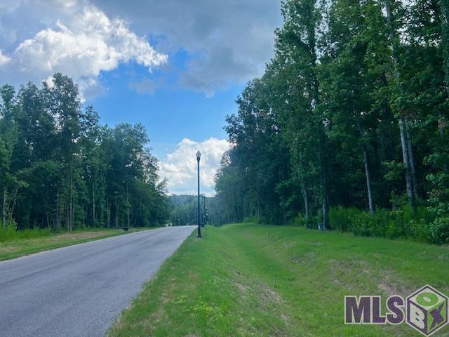 Lot 14 Oak Run Dr, Saint Francisville, Louisiana image 15