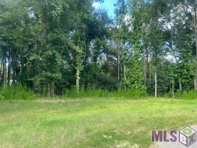 Lot 14 Oak Run Dr, Saint Francisville, Louisiana image 6