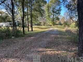 474 Spring Hill Cemetery Road, Lecompte, Louisiana image 9